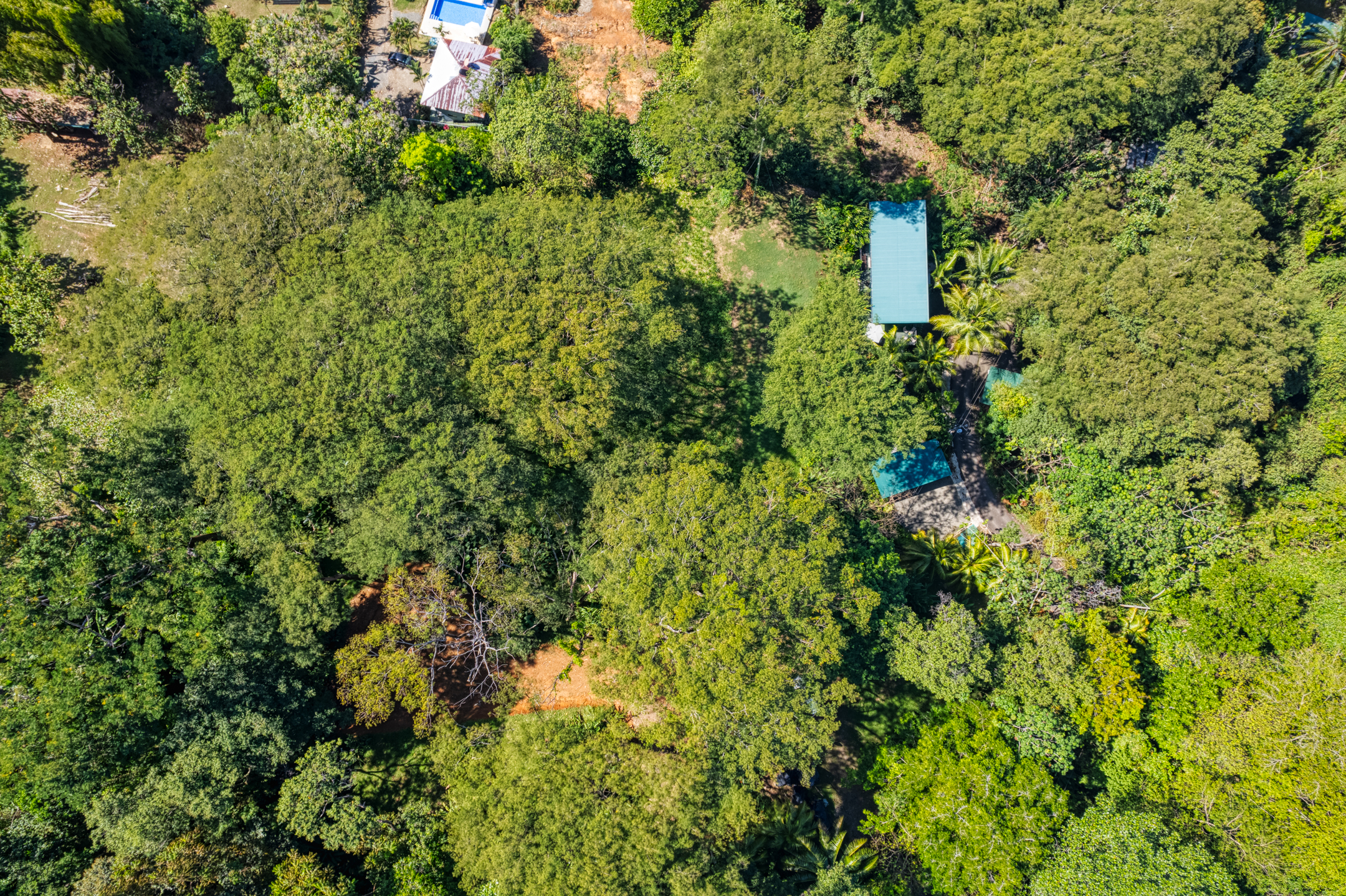 0 bed Land For Sale in Dominical, Puntarenas - thumb 6