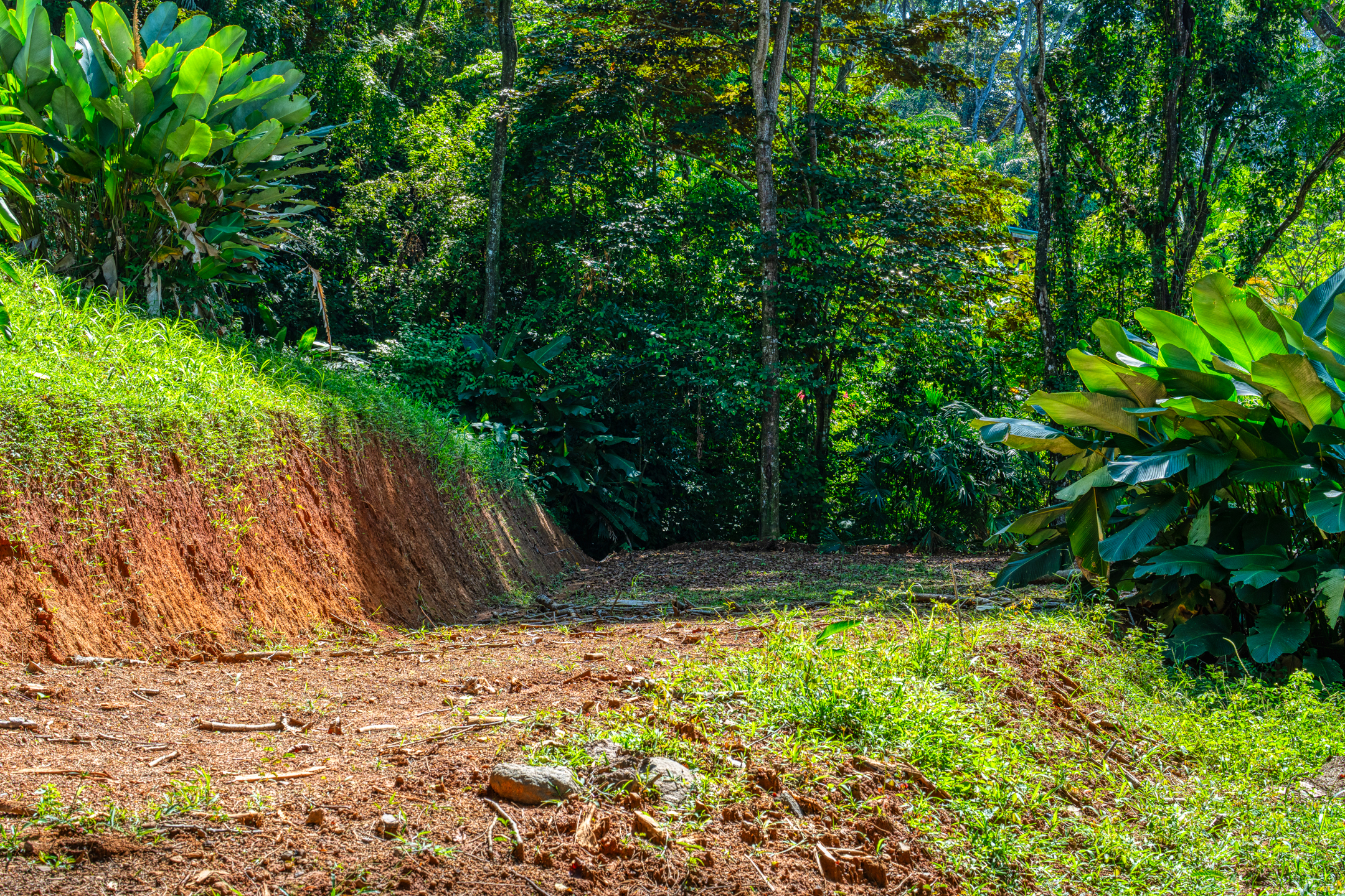 0 bed Land For Sale in Dominical, Puntarenas - thumb 9