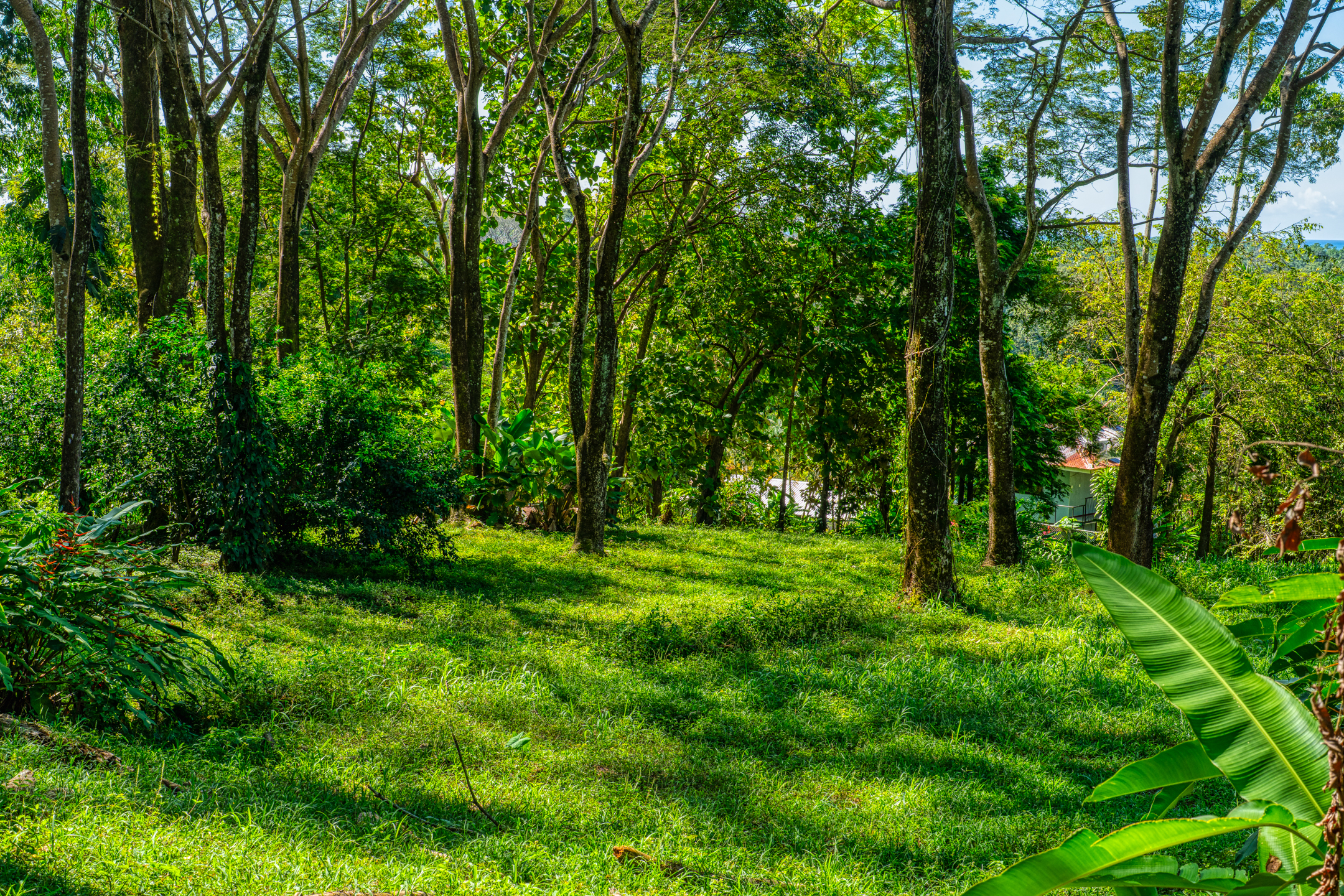 0 bed Land For Sale in Dominical, Puntarenas - thumb 10