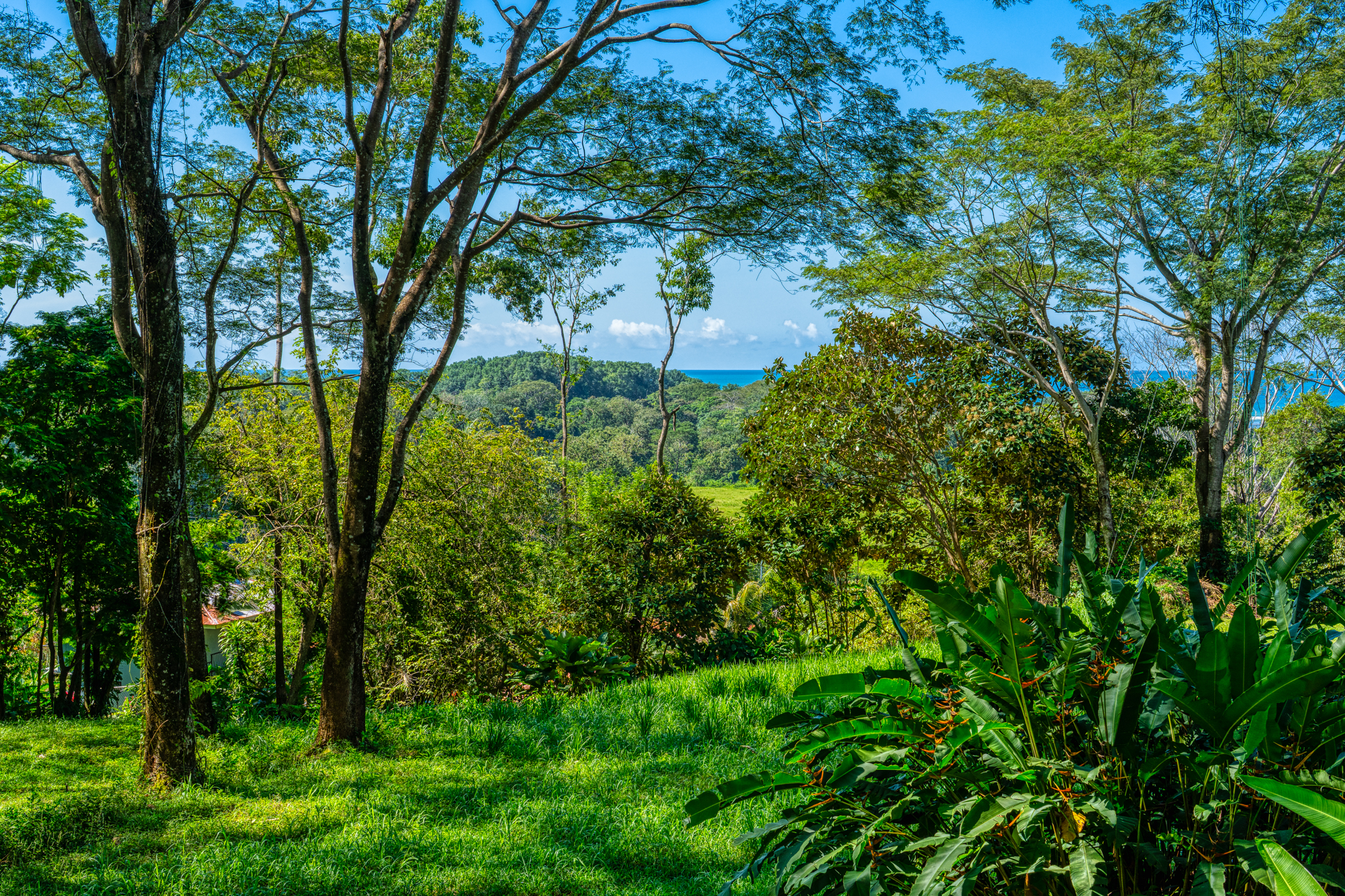 0 bed Land For Sale in Dominical, Puntarenas - thumb 3