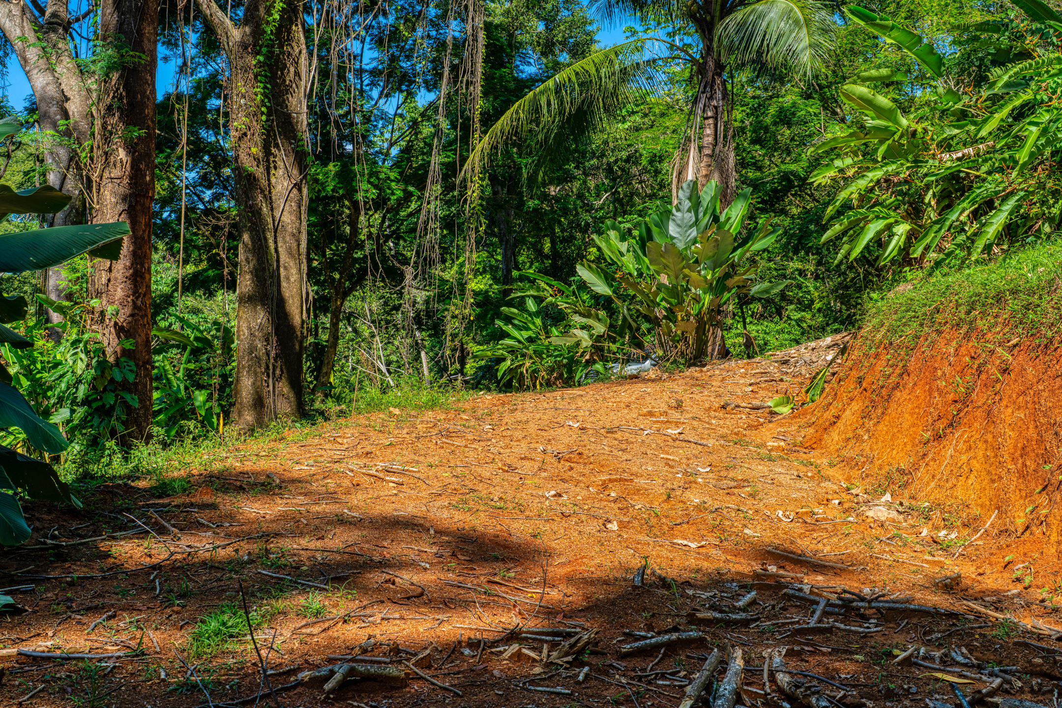 0 bed Land For Sale in Dominical, Puntarenas - thumb 11