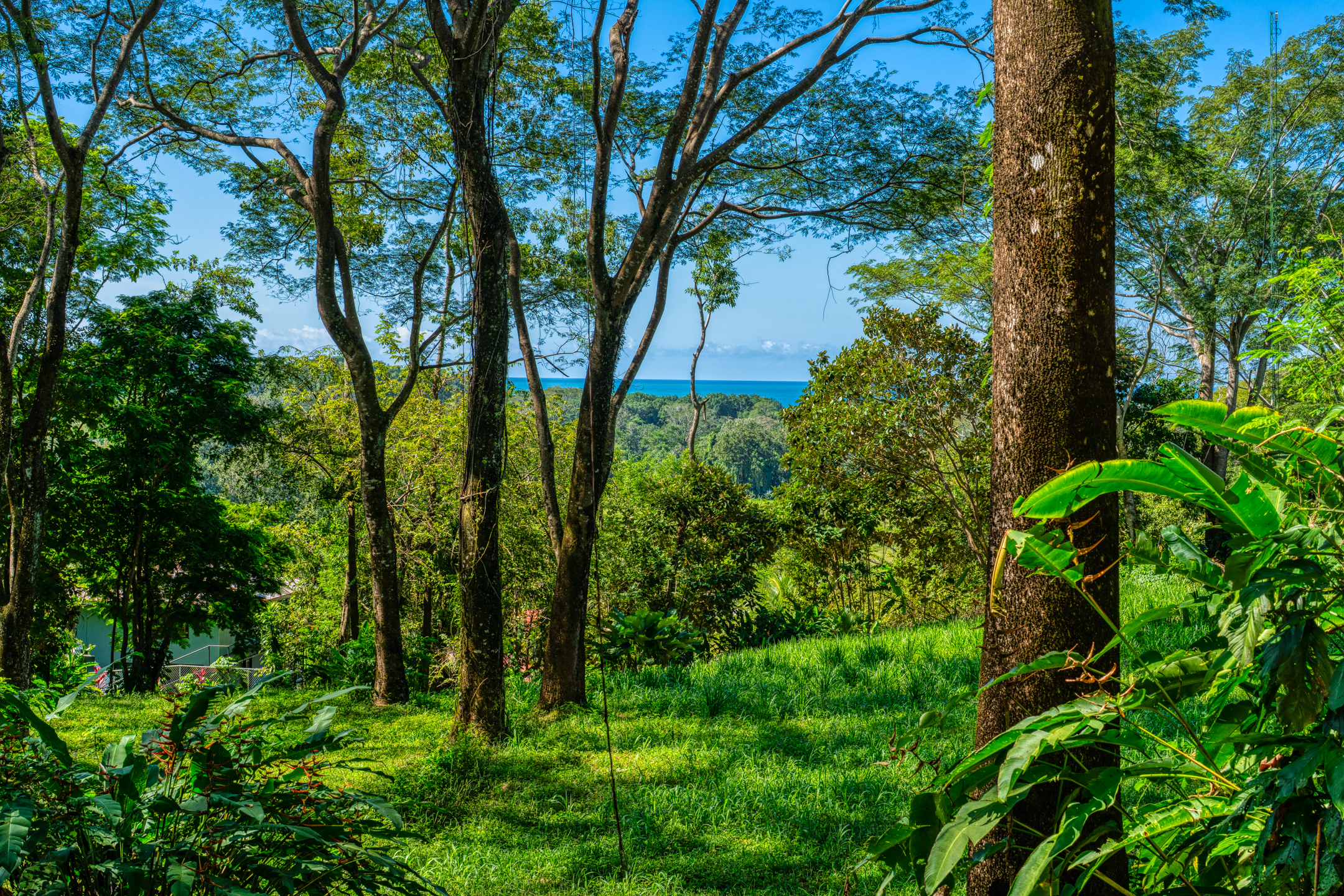 0 bed Land For Sale in Dominical, Puntarenas - thumb 1