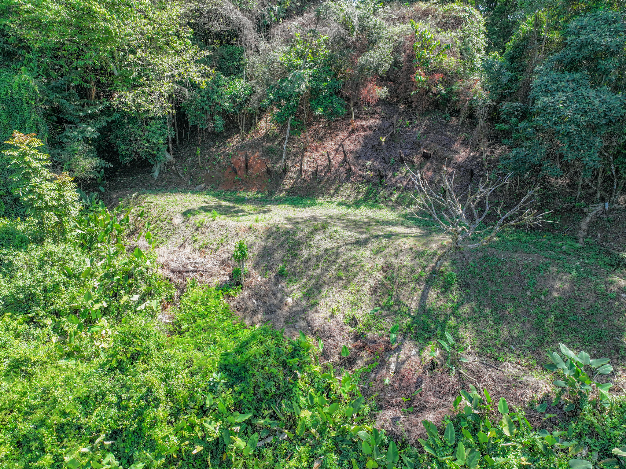 0 bed Land For Sale in Dominical, Puntarenas - thumb 13