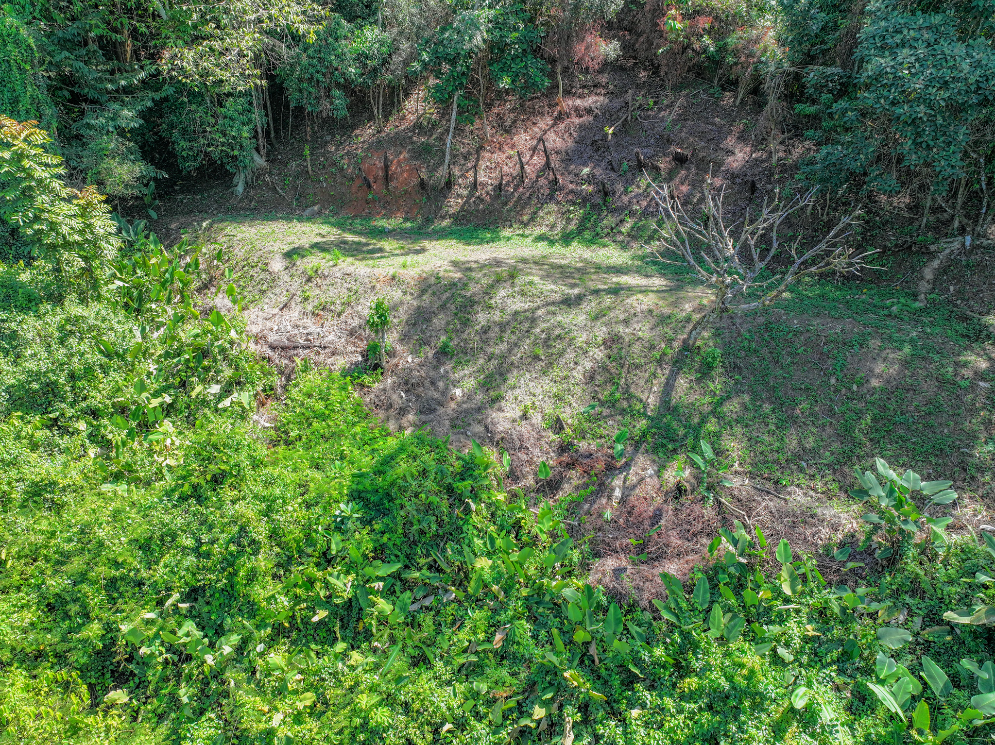 0 bed Land For Sale in Dominical, Puntarenas - thumb 23