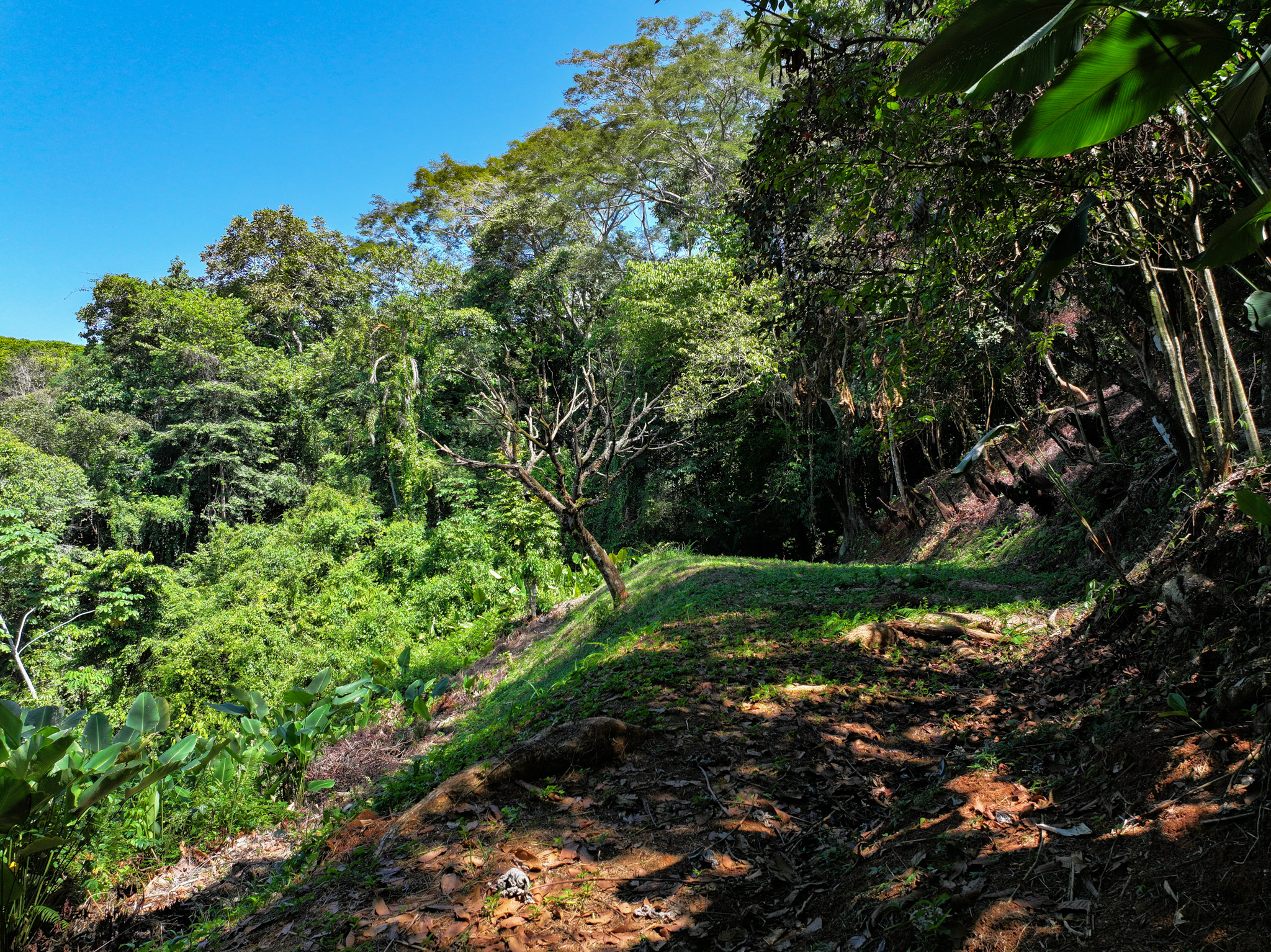 0 bed Land For Sale in Dominical, Puntarenas - thumb 14
