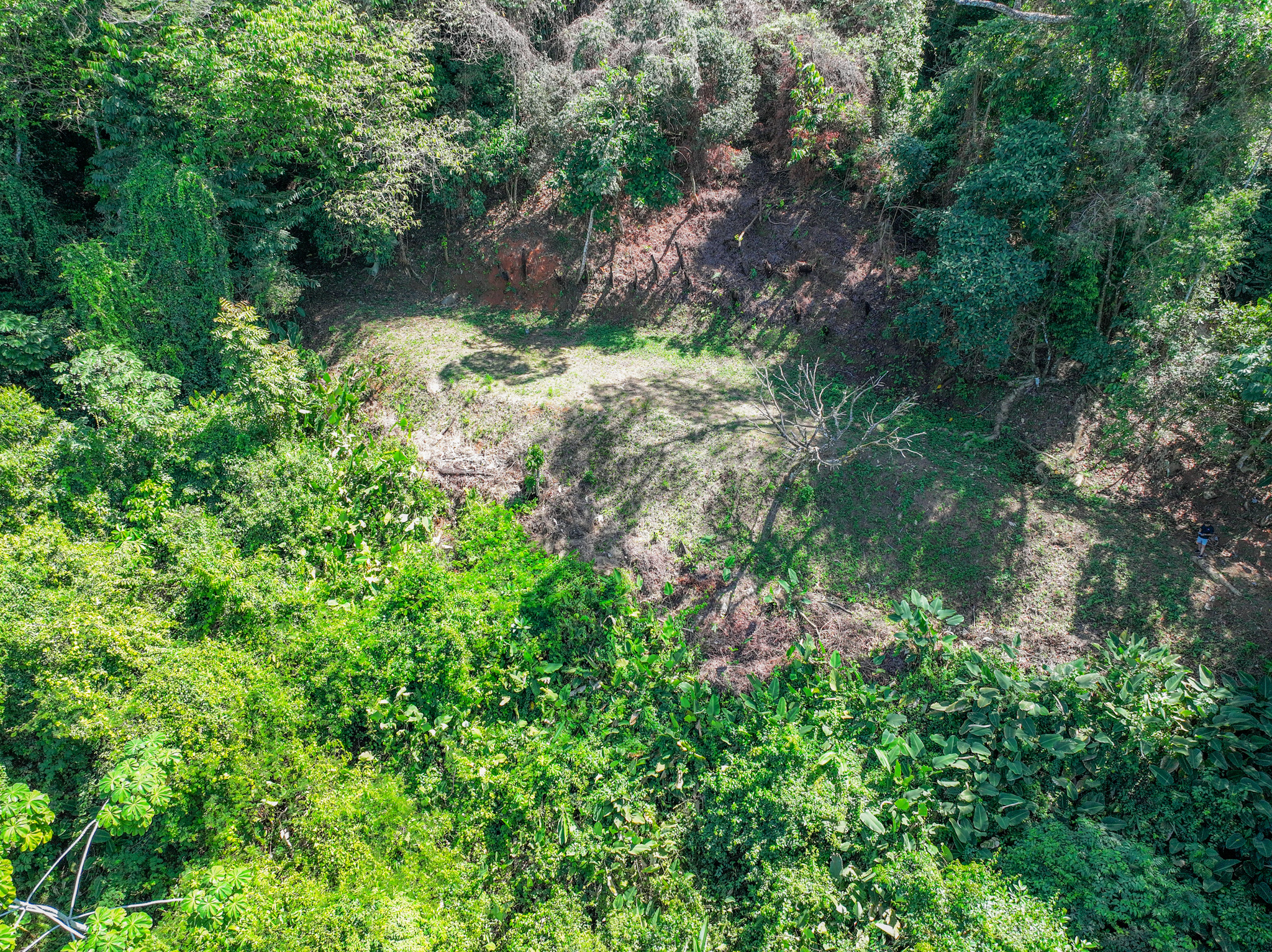 0 bed Land For Sale in Dominical, Puntarenas - thumb 9