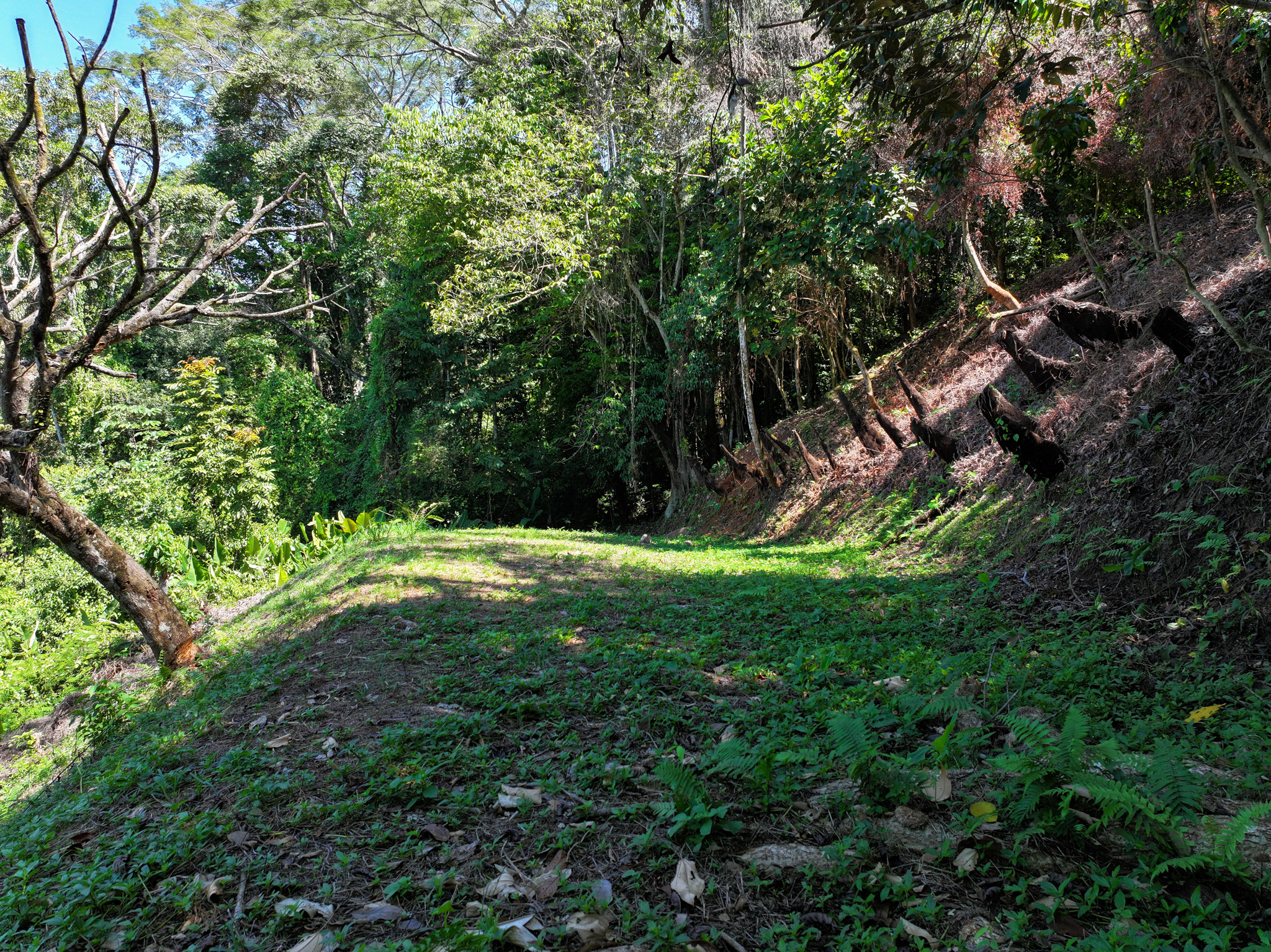 0 bed Land For Sale in Dominical, Puntarenas - thumb 20