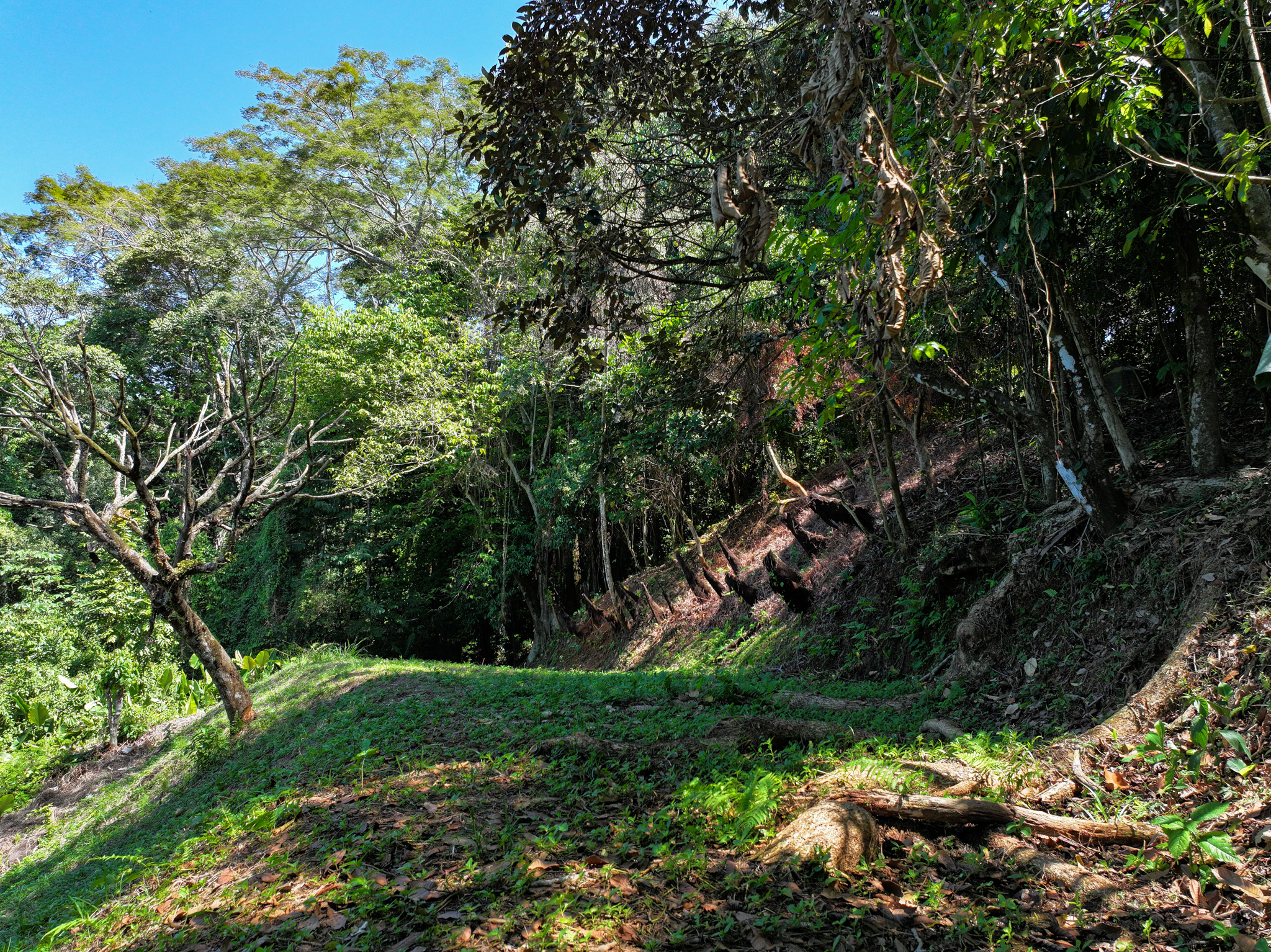 0 bed Land For Sale in Dominical, Puntarenas - thumb 18