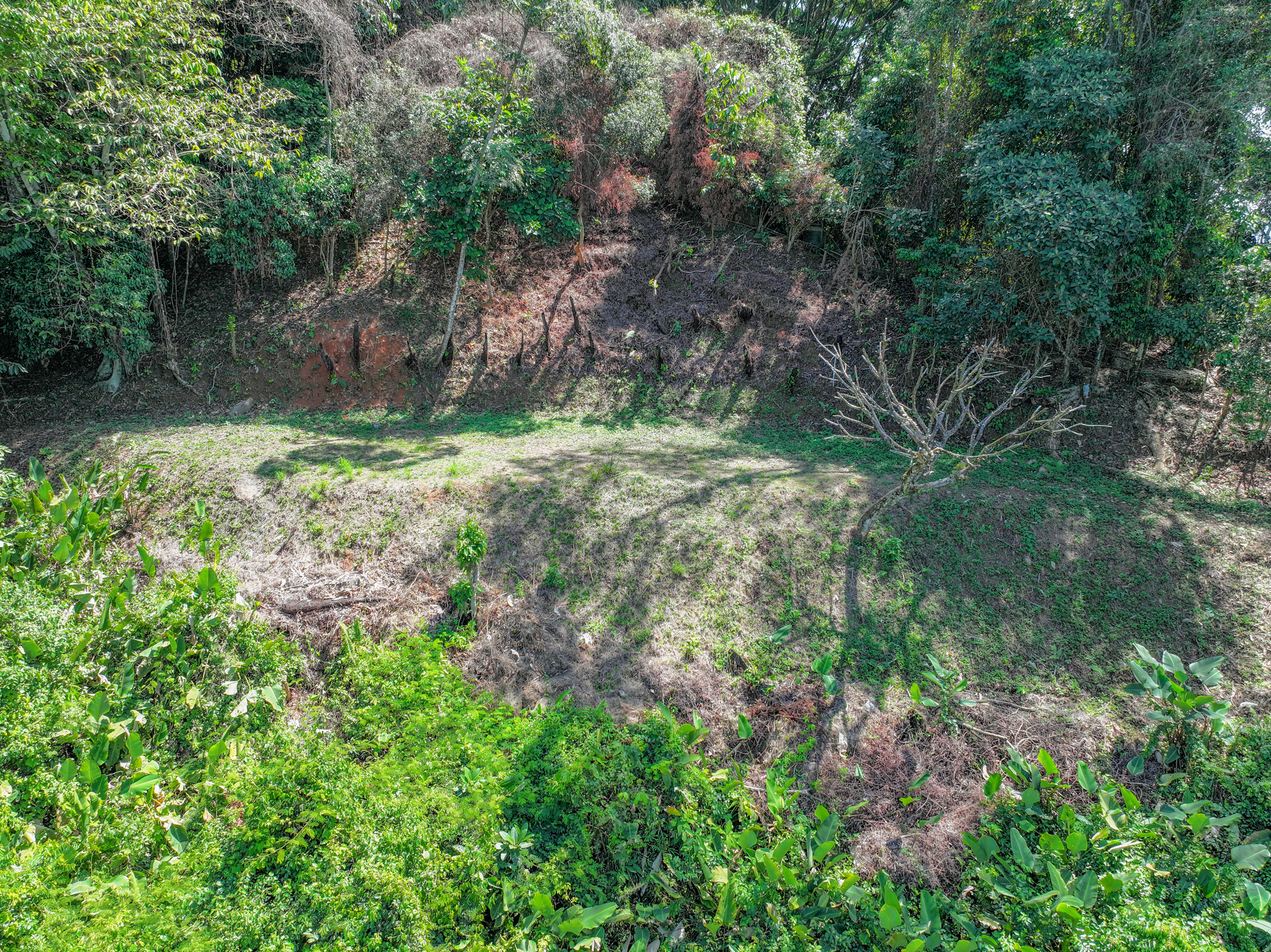 0 bed Land For Sale in Dominical, Puntarenas - thumb 15