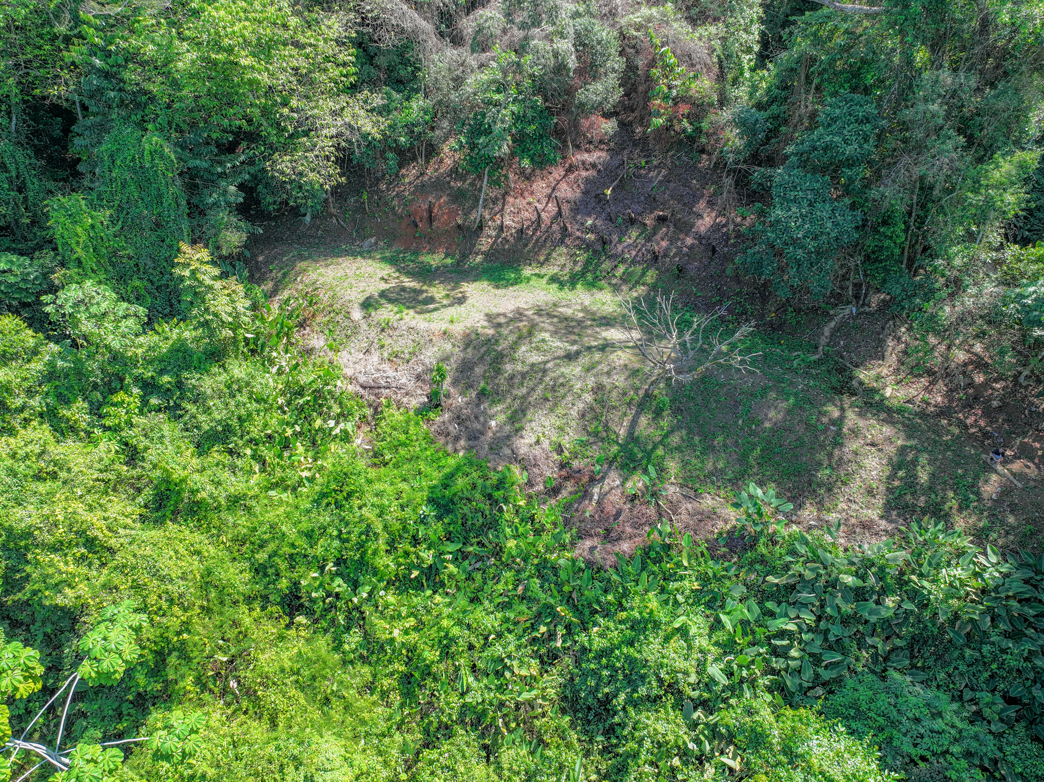 0 bed Land For Sale in Dominical, Puntarenas - thumb 2