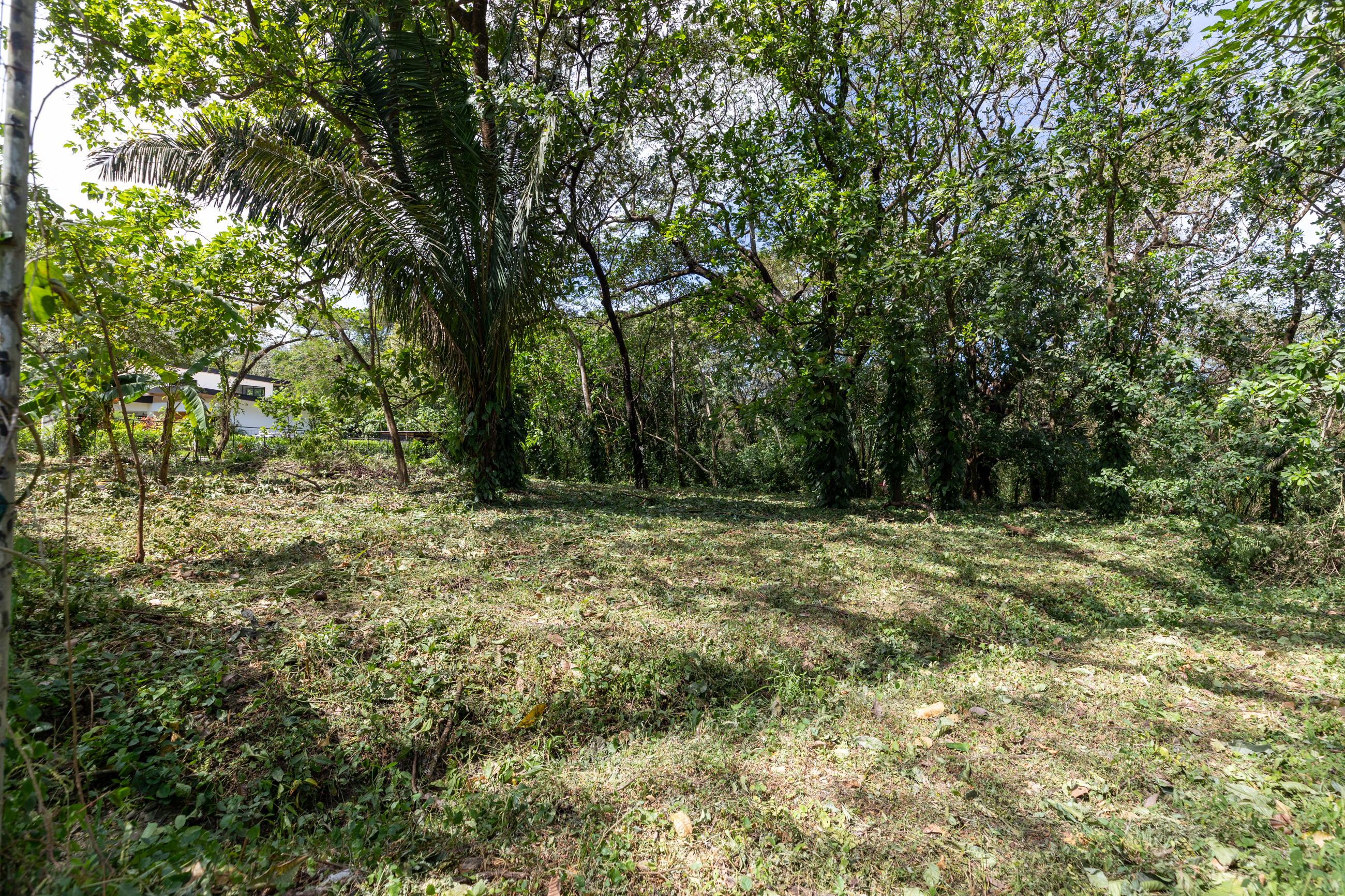 0 bed Land For Sale in Nosara, Guanacaste - thumb 2