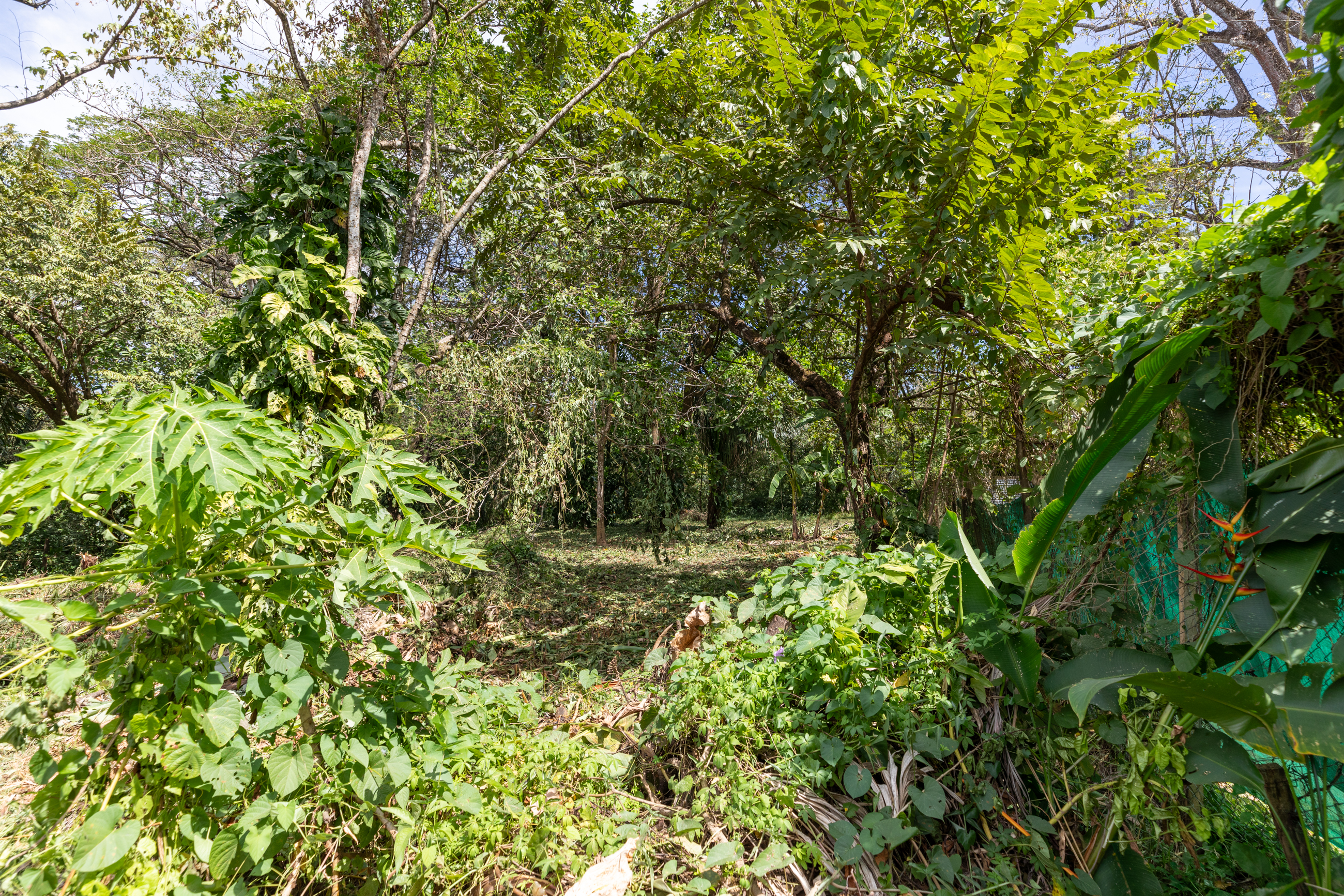 0 bed Land For Sale in Nosara, Guanacaste - thumb 10