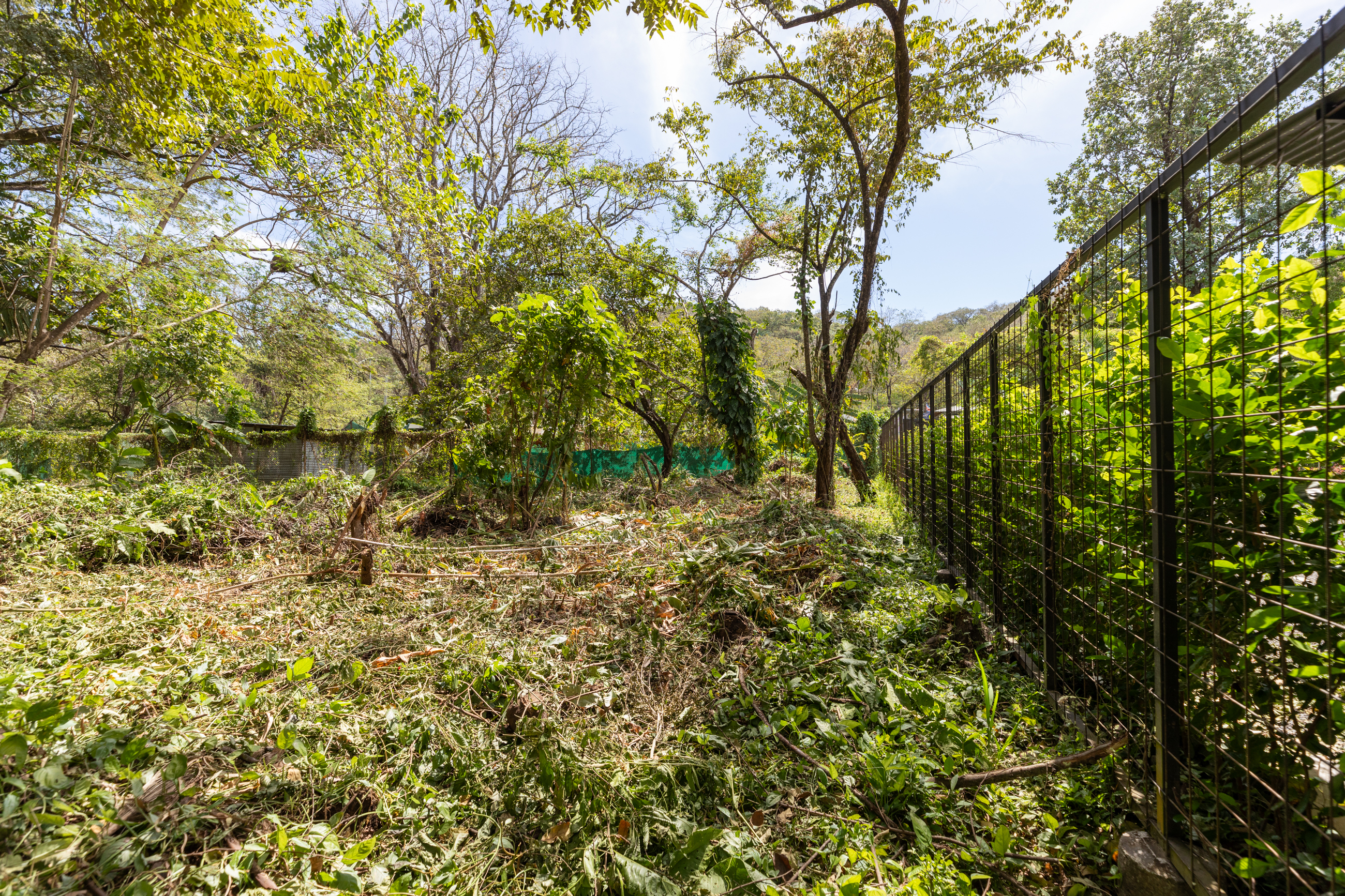 0 bed Land For Sale in Nosara, Guanacaste - thumb 8