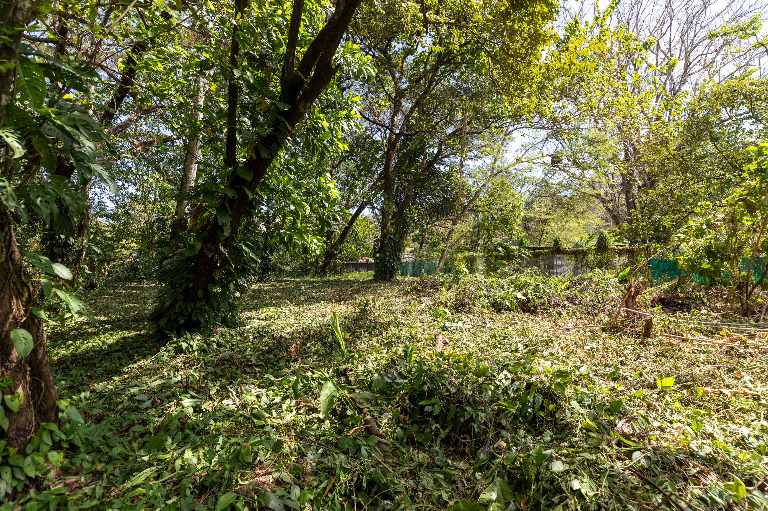 0 bed Land For Sale in Nosara, Guanacaste - thumb 7