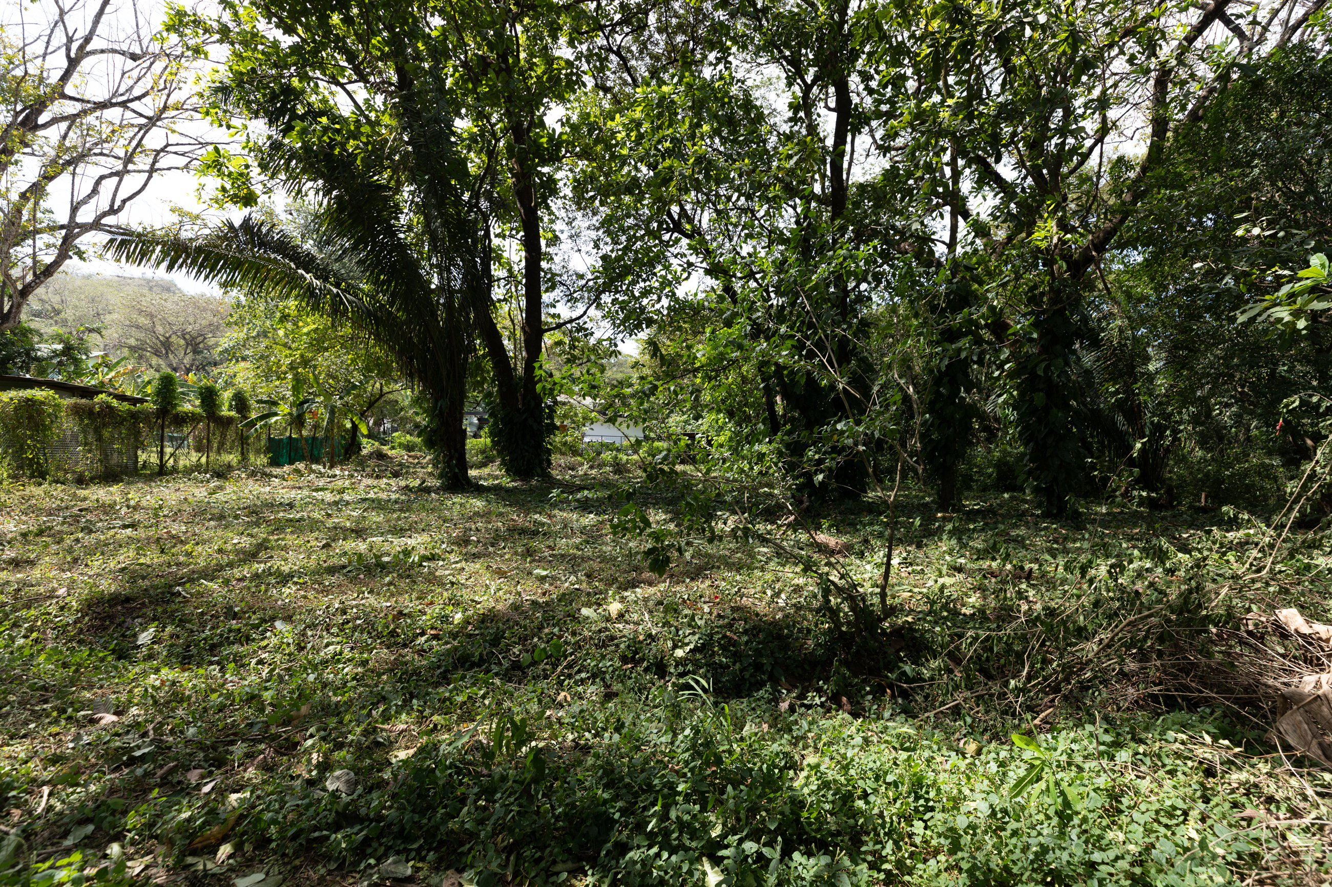 0 bed Land For Sale in Nosara, Guanacaste - thumb 4