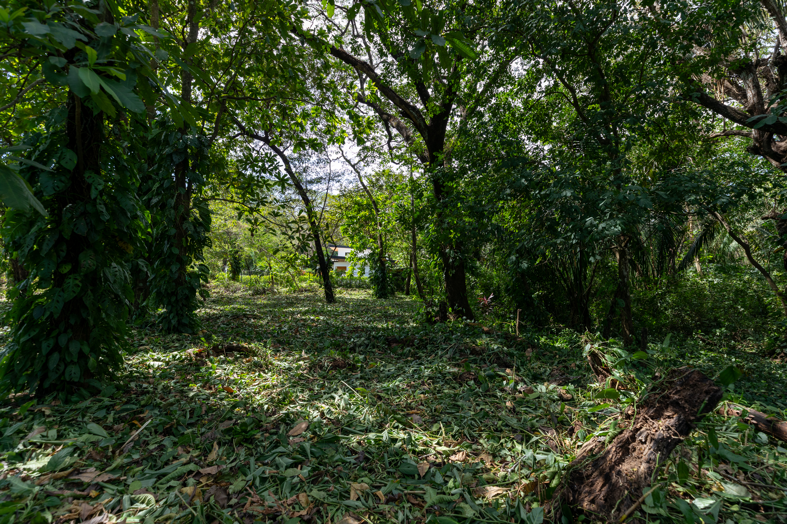 0 bed Land For Sale in Nosara, Guanacaste - thumb 6