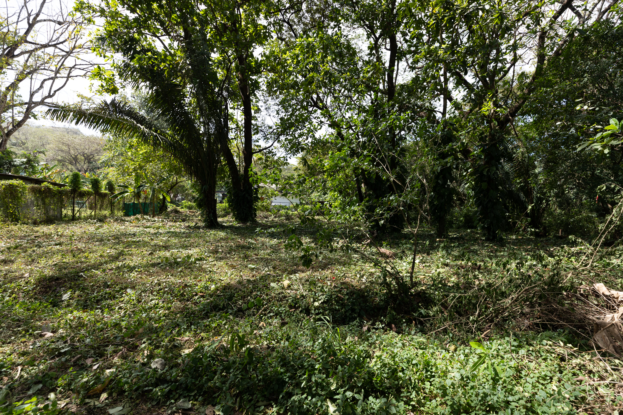 0 bed Land For Sale in Nosara, Guanacaste - thumb 5