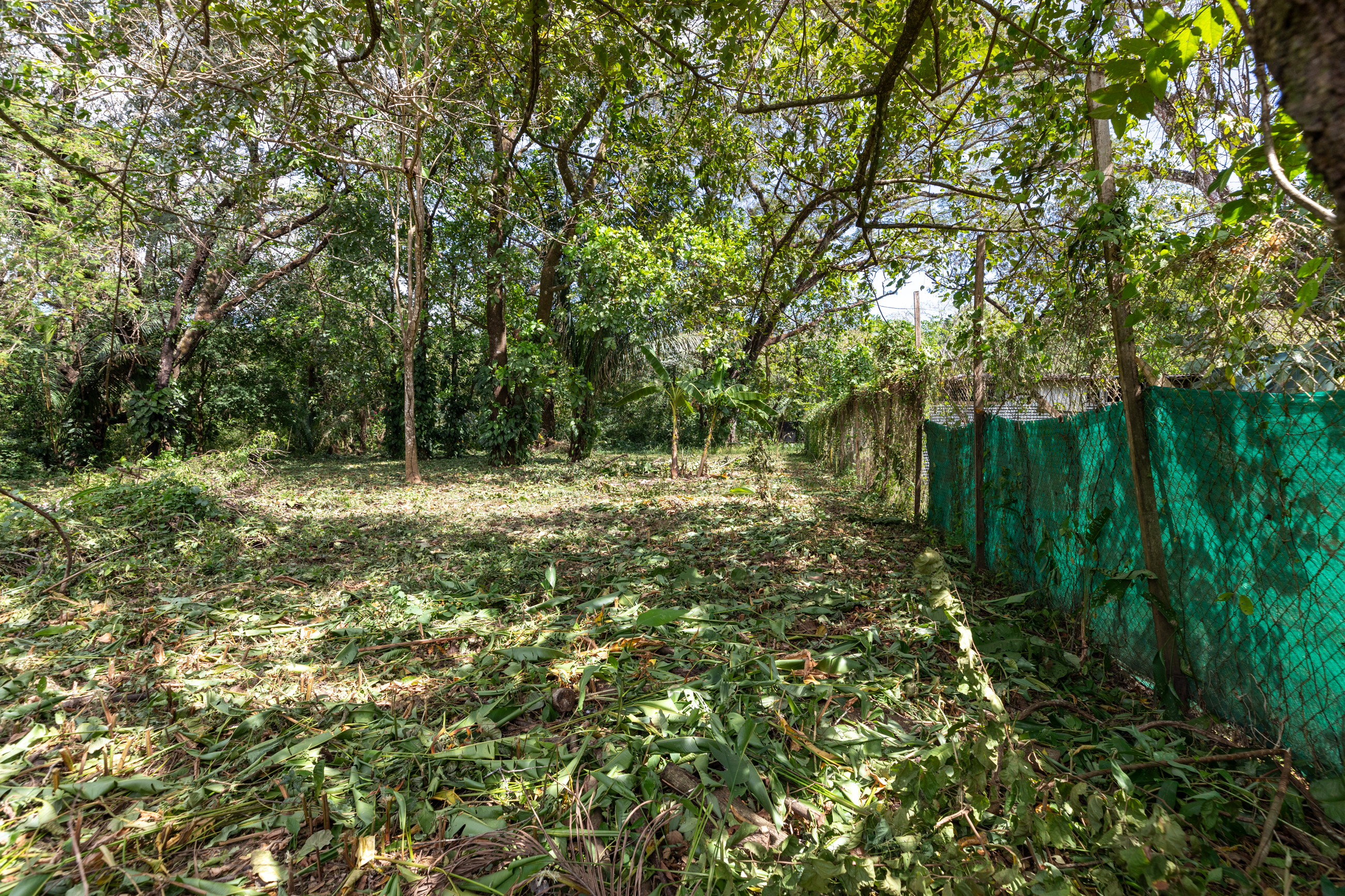 0 bed Land For Sale in Nosara, Guanacaste - thumb 12