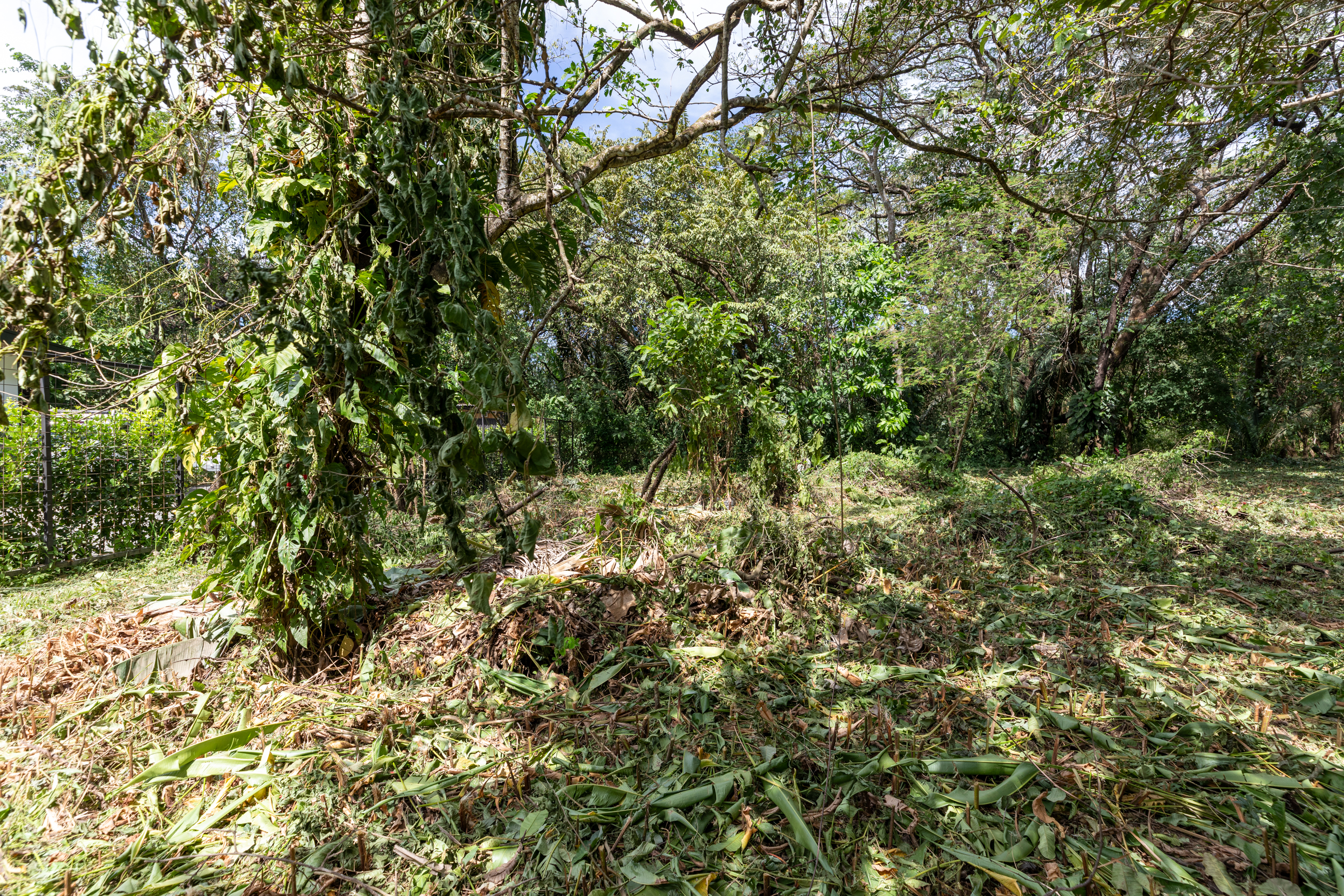 0 bed Land For Sale in Nosara, Guanacaste - thumb 11