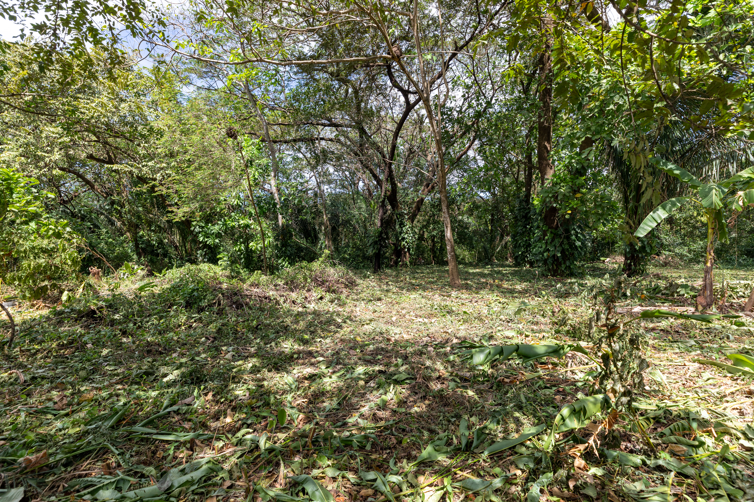 0 bed Land For Sale in Nosara, Guanacaste - thumb 13