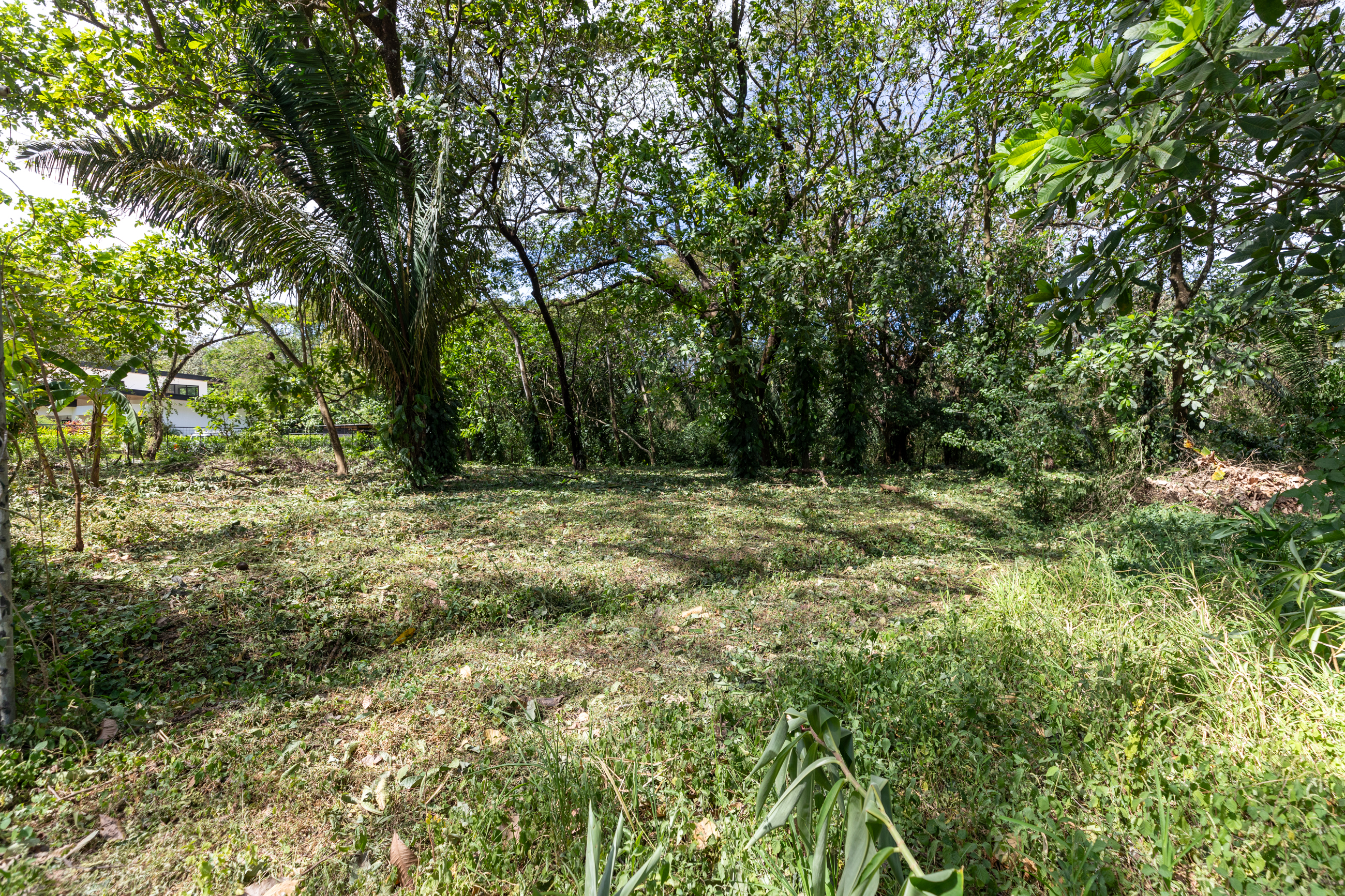 0 bed Land For Sale in Nosara, Guanacaste - thumb 3