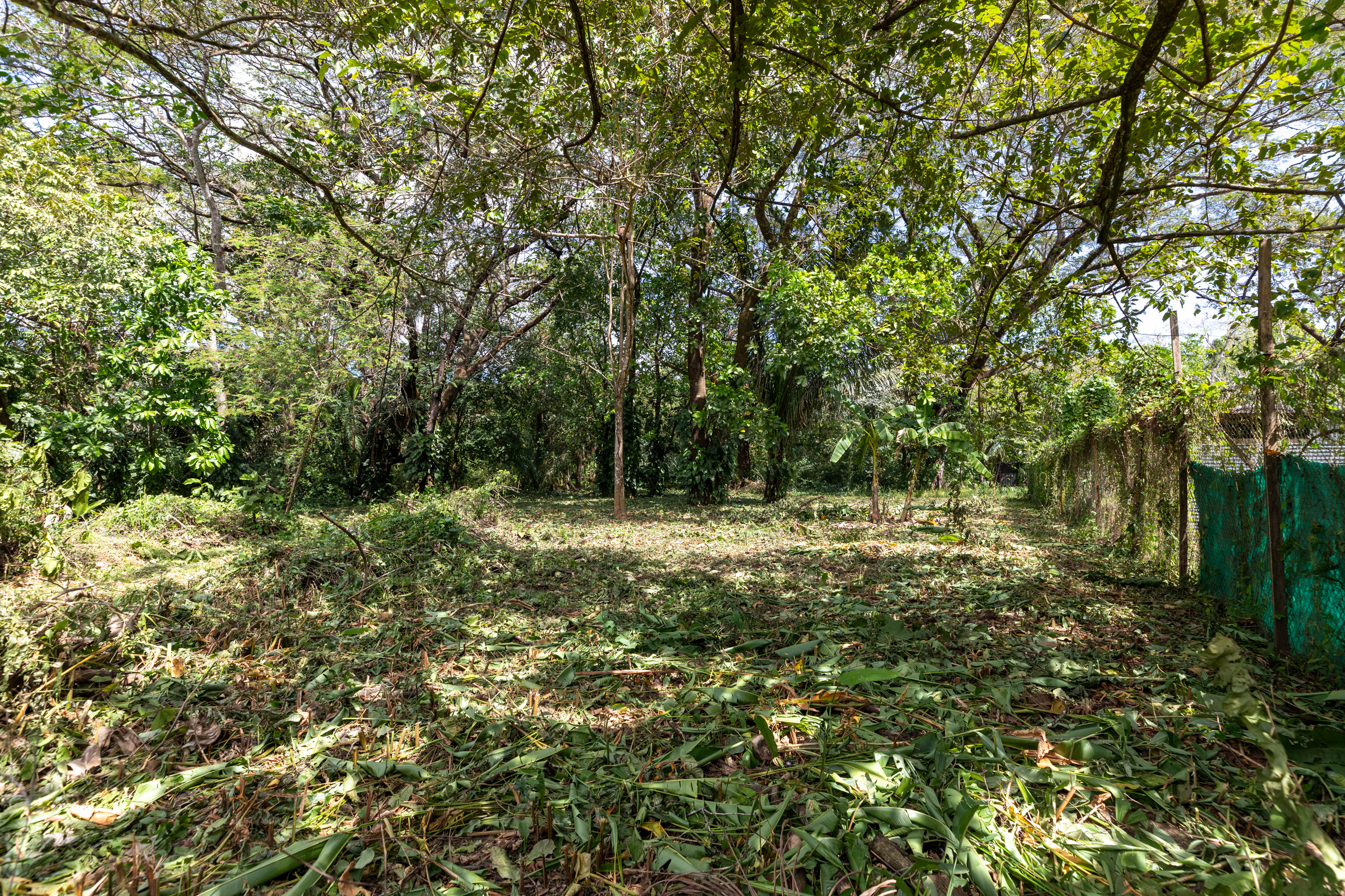 0 bed Land For Sale in Nosara, Guanacaste - thumb 1