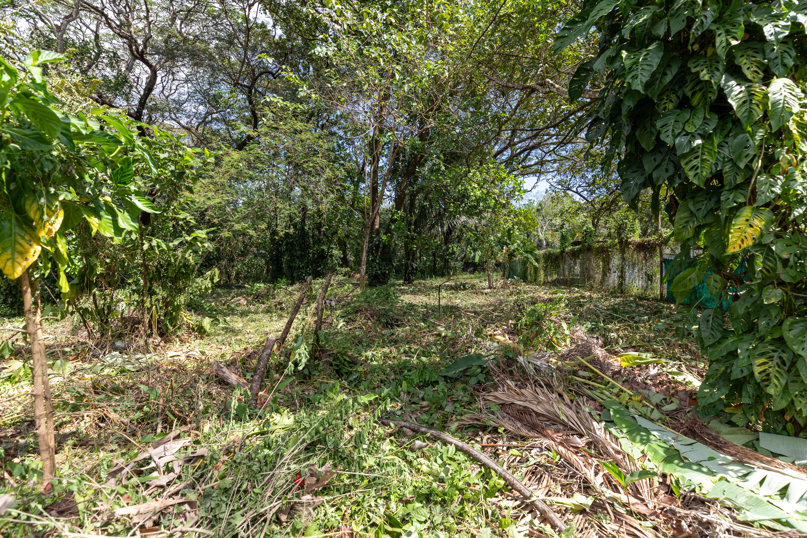0 bed Land For Sale in Nosara, Guanacaste - thumb 9