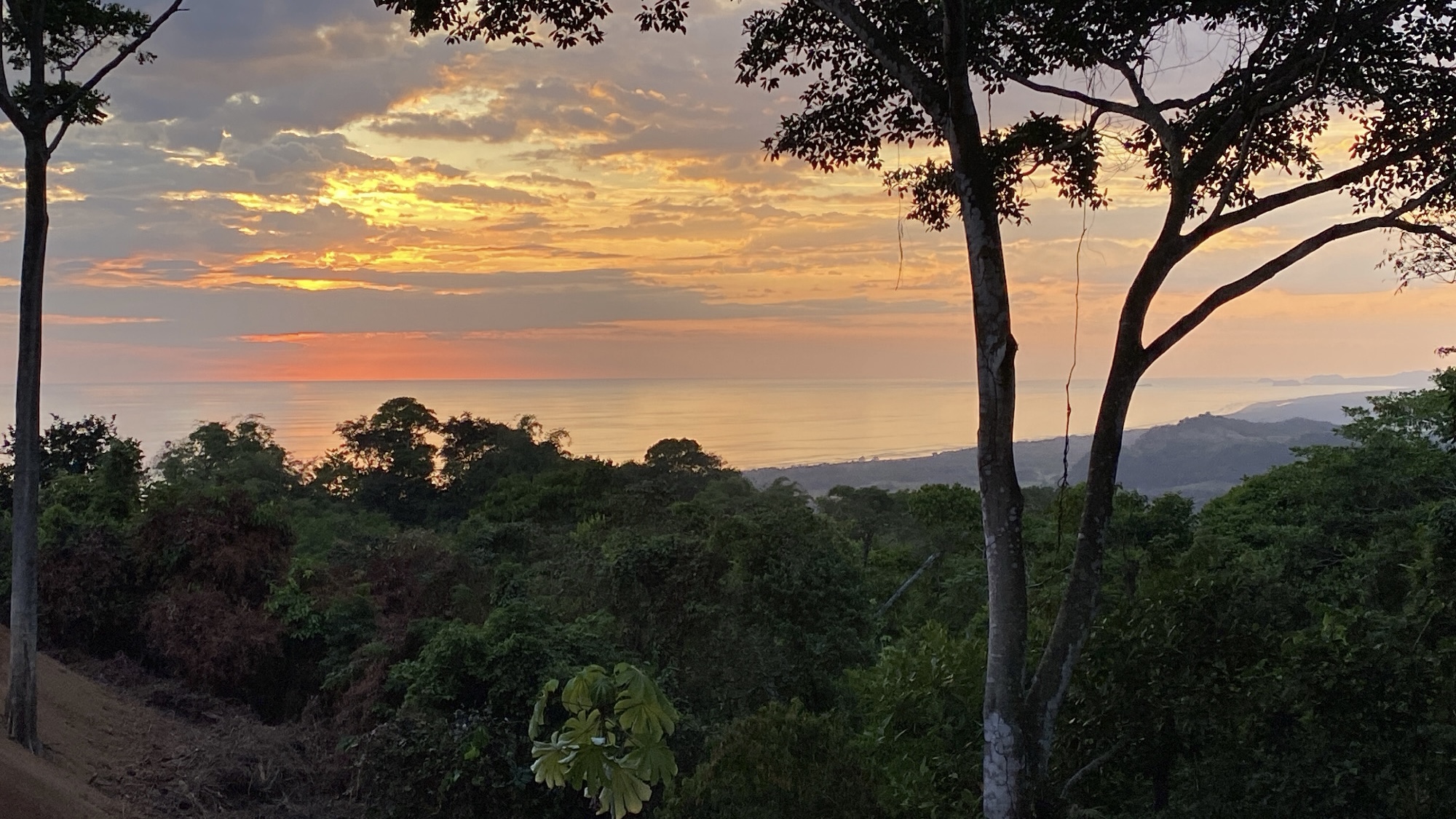 4 bed Single Family Homes For Sale in Dominical, Puntarenas - thumb 7