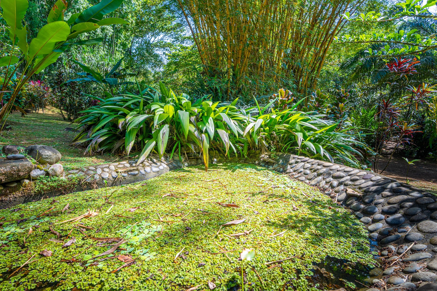 6 bed Commercial For Sale in Ojochal, Puntarenas - thumb 15