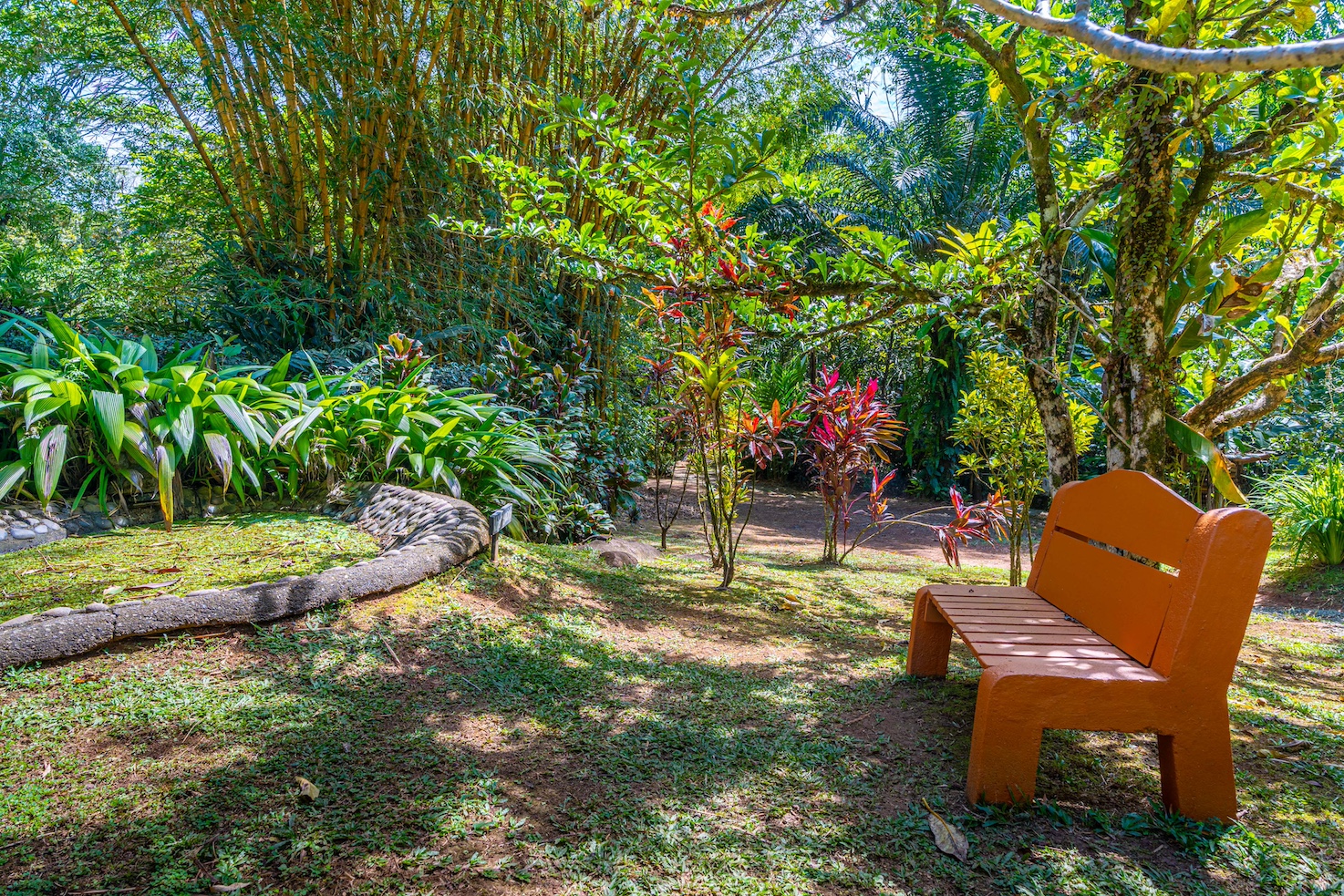 6 bed Commercial For Sale in Ojochal, Puntarenas - thumb 14