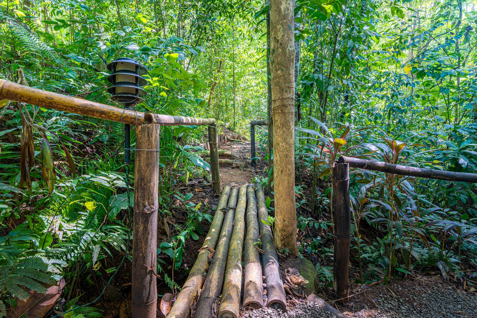 6 bed Commercial For Sale in Ojochal, Puntarenas - thumb 23