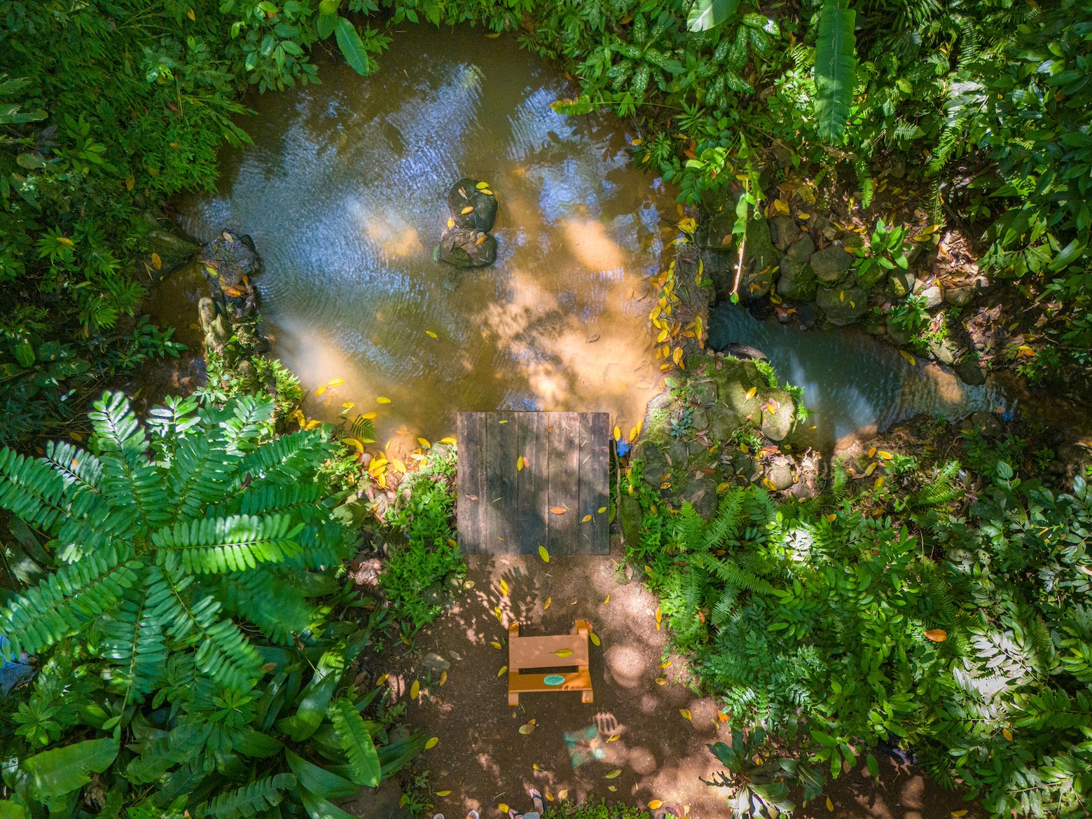 6 bed Commercial For Sale in Ojochal, Puntarenas - thumb 24