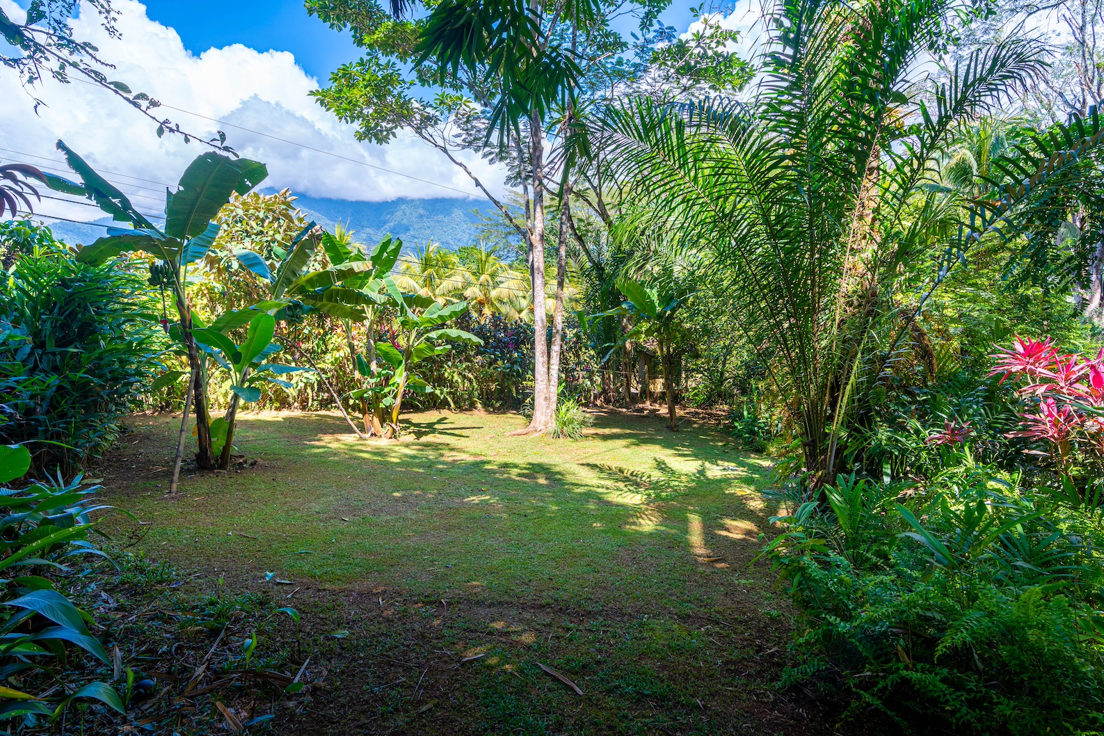 6 bed Commercial For Sale in Ojochal, Puntarenas - thumb 13