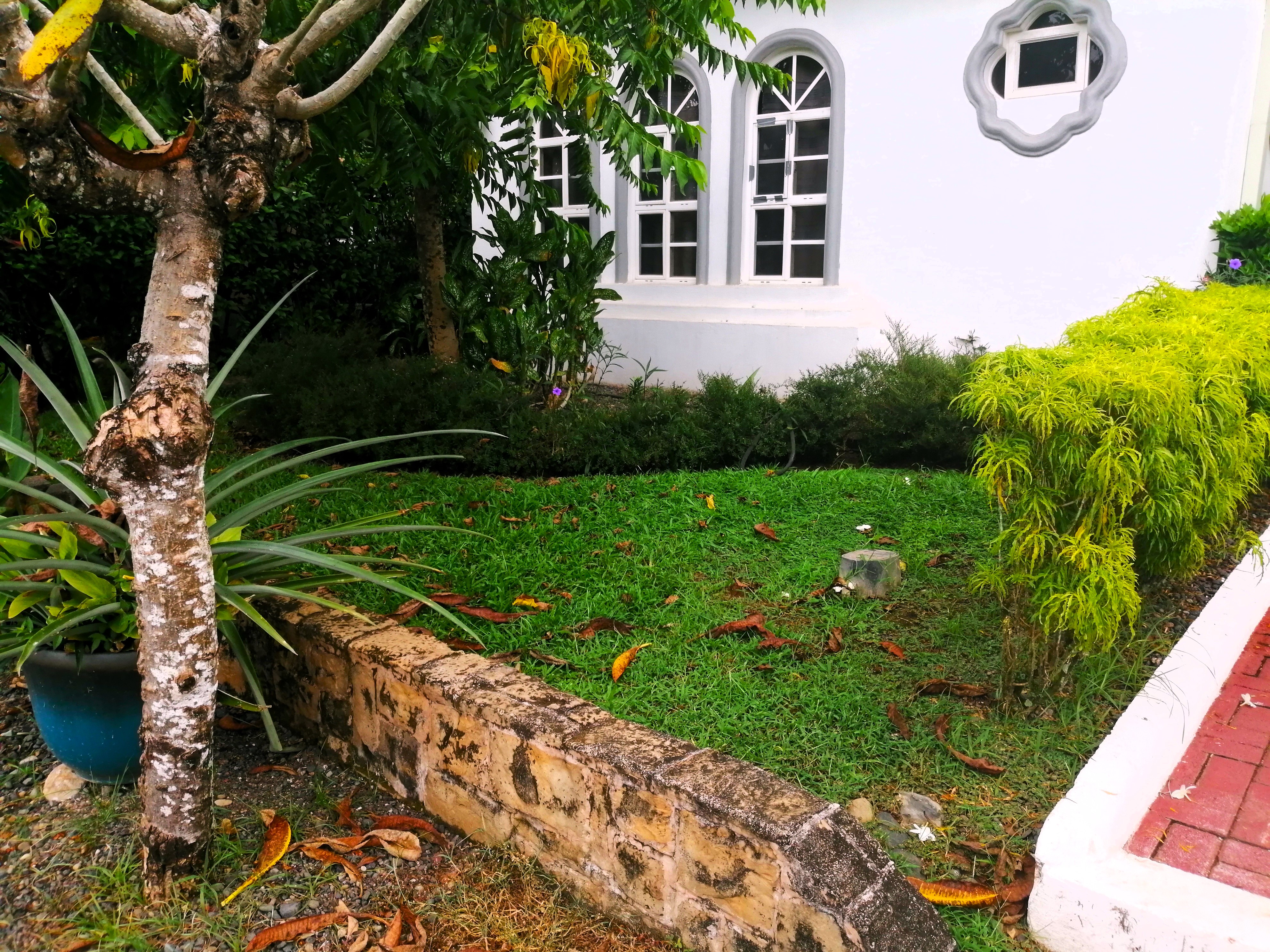 3 bed Single Family Homes For Sale in Bejuco, Puntarenas - thumb 3