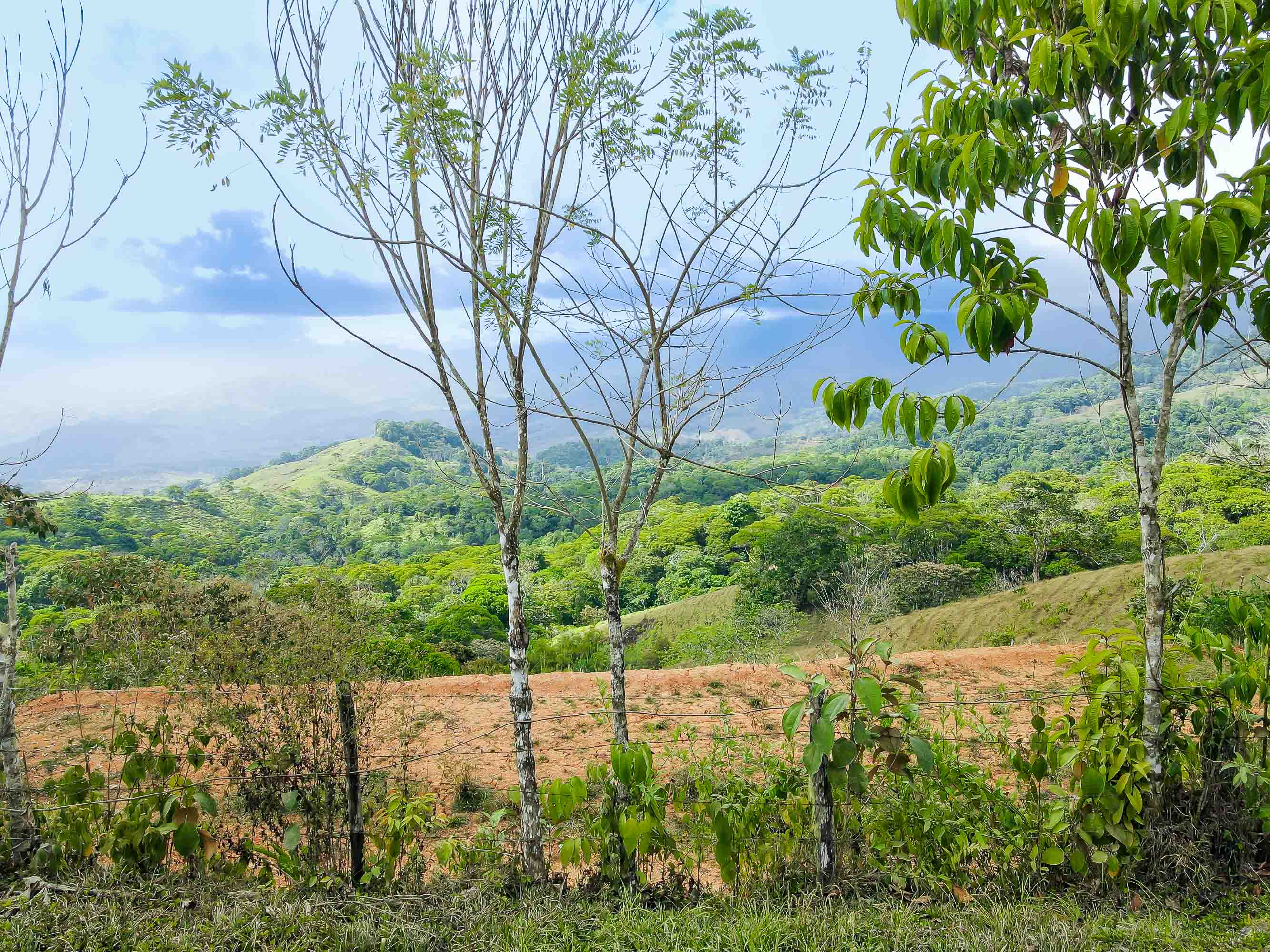 0 bed Land For Sale in Perez Zeledon, San Jose - thumb 3