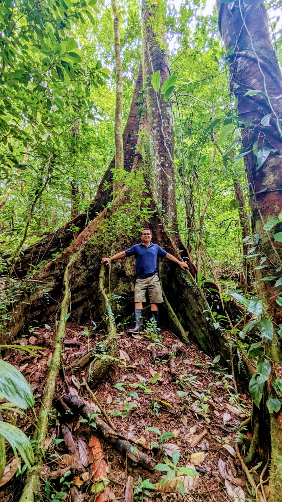 0 bed Land For Sale in Parrita, Puntarenas - thumb 17