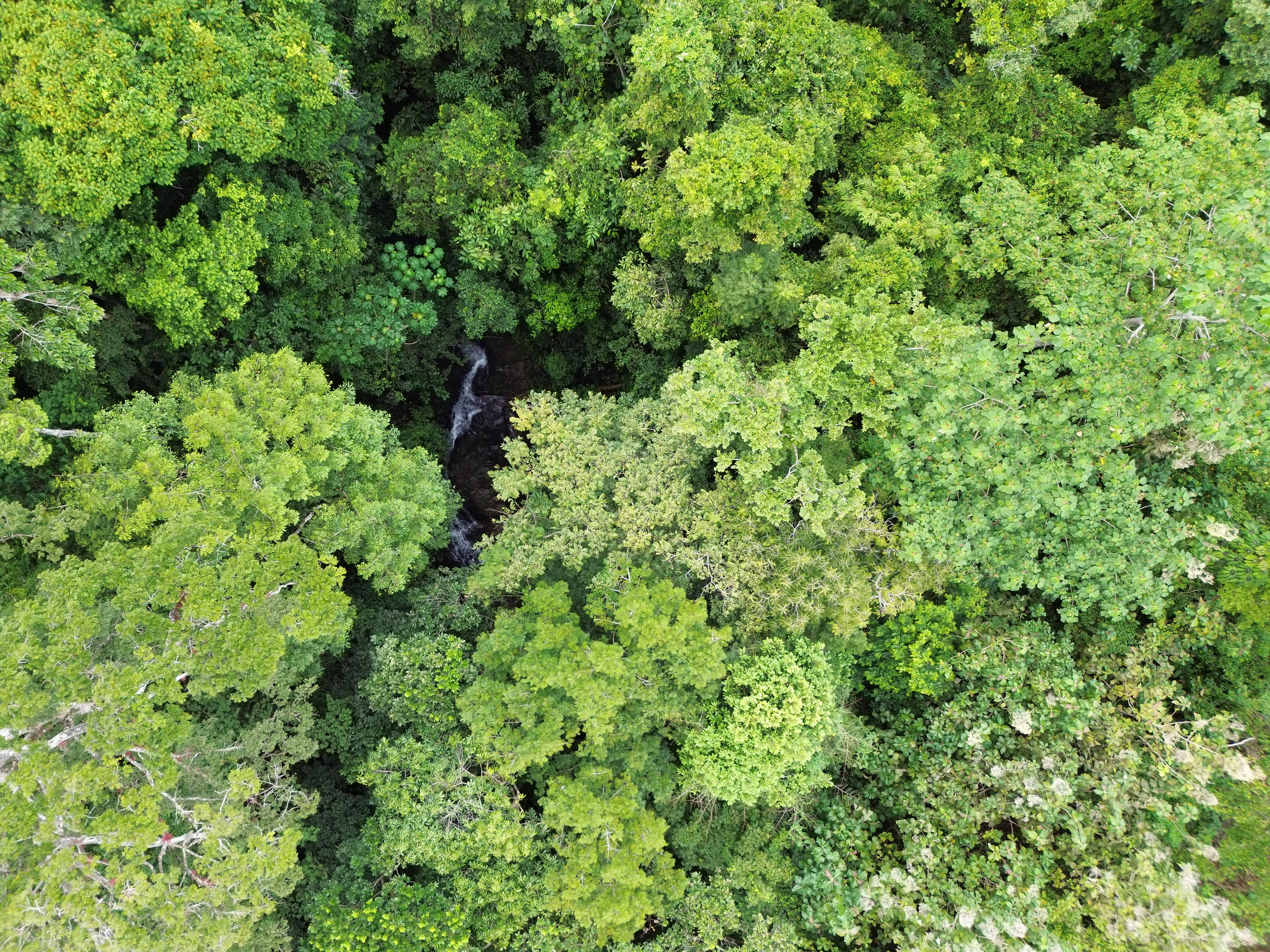 0 bed Land For Sale in Parrita, Puntarenas - thumb 10