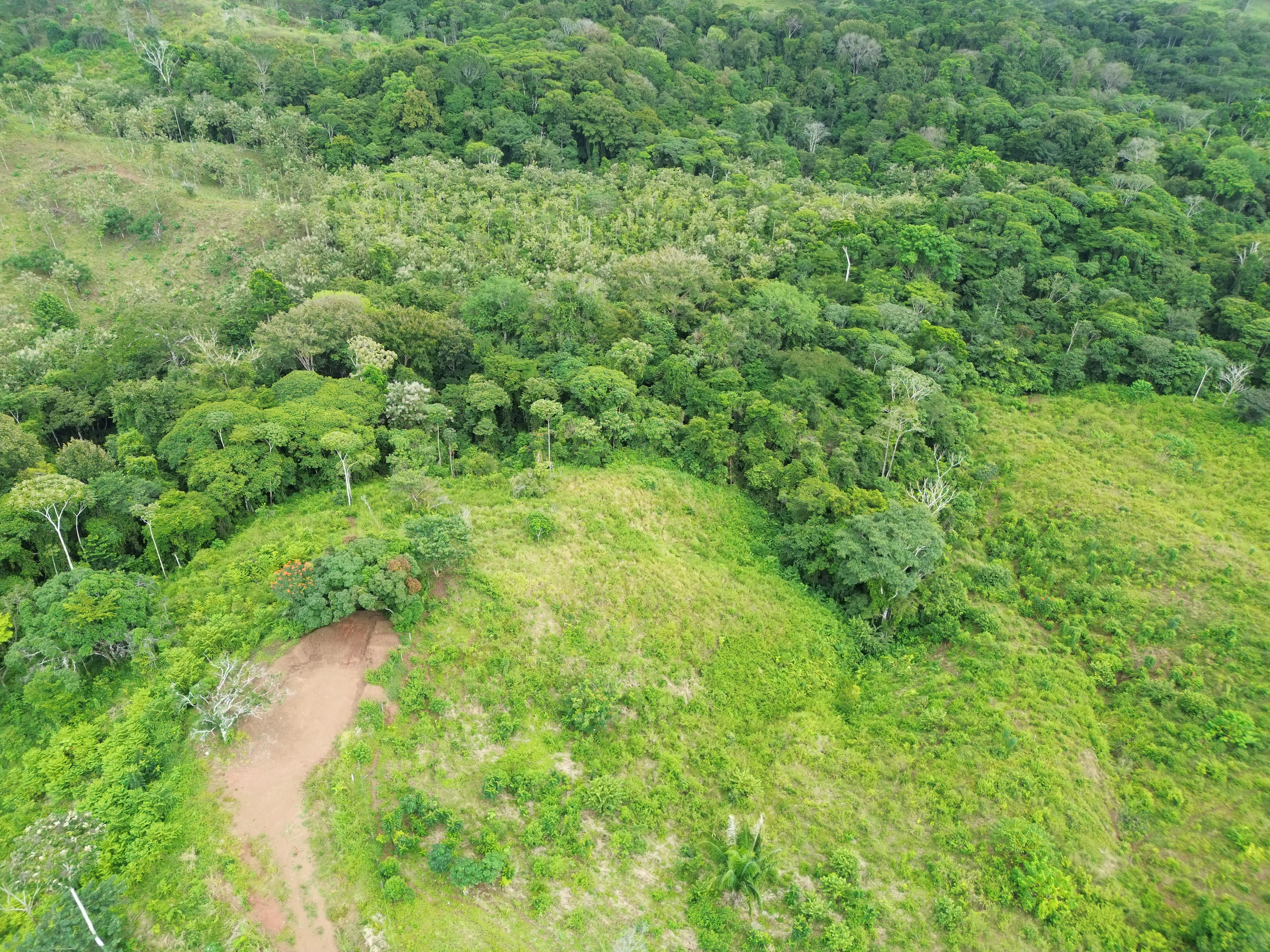 0 bed Land For Sale in Parrita, Puntarenas - thumb 3