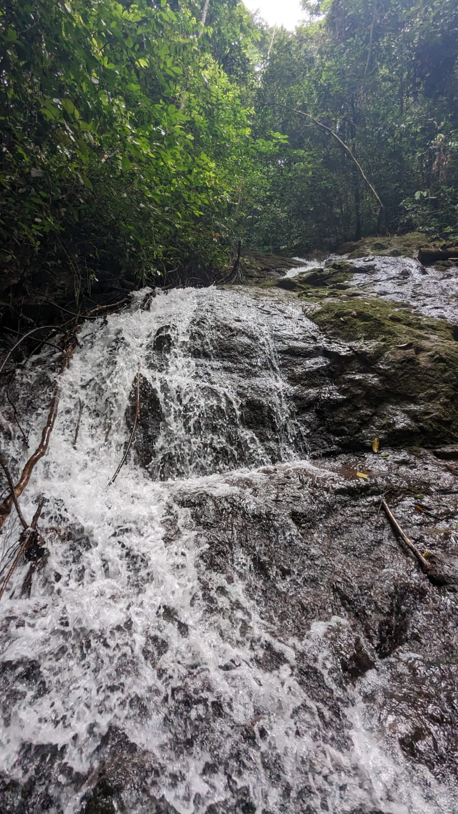 0 bed Land For Sale in Parrita, Puntarenas - thumb 15