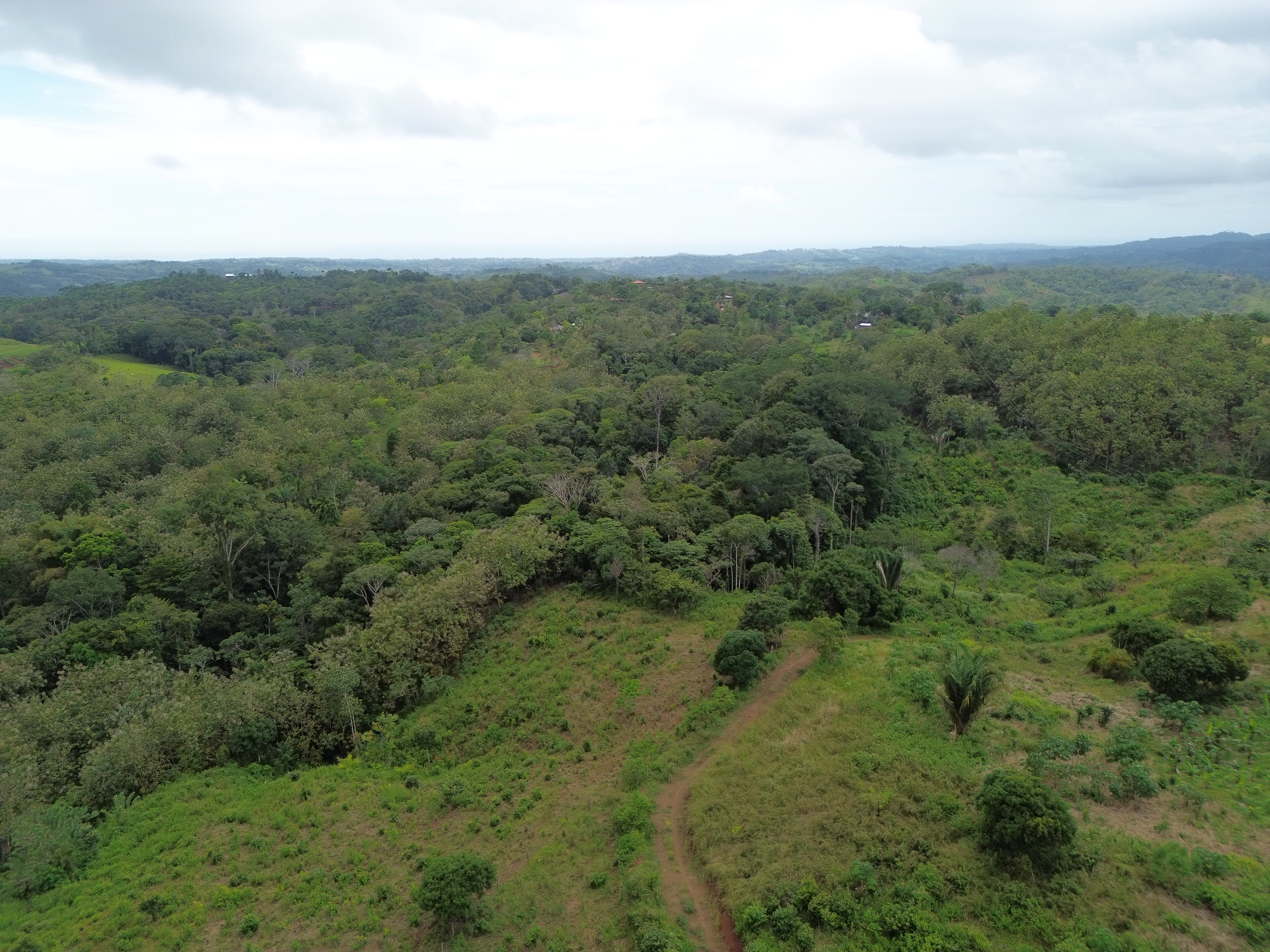 0 bed Land For Sale in Parrita, Puntarenas - thumb 4