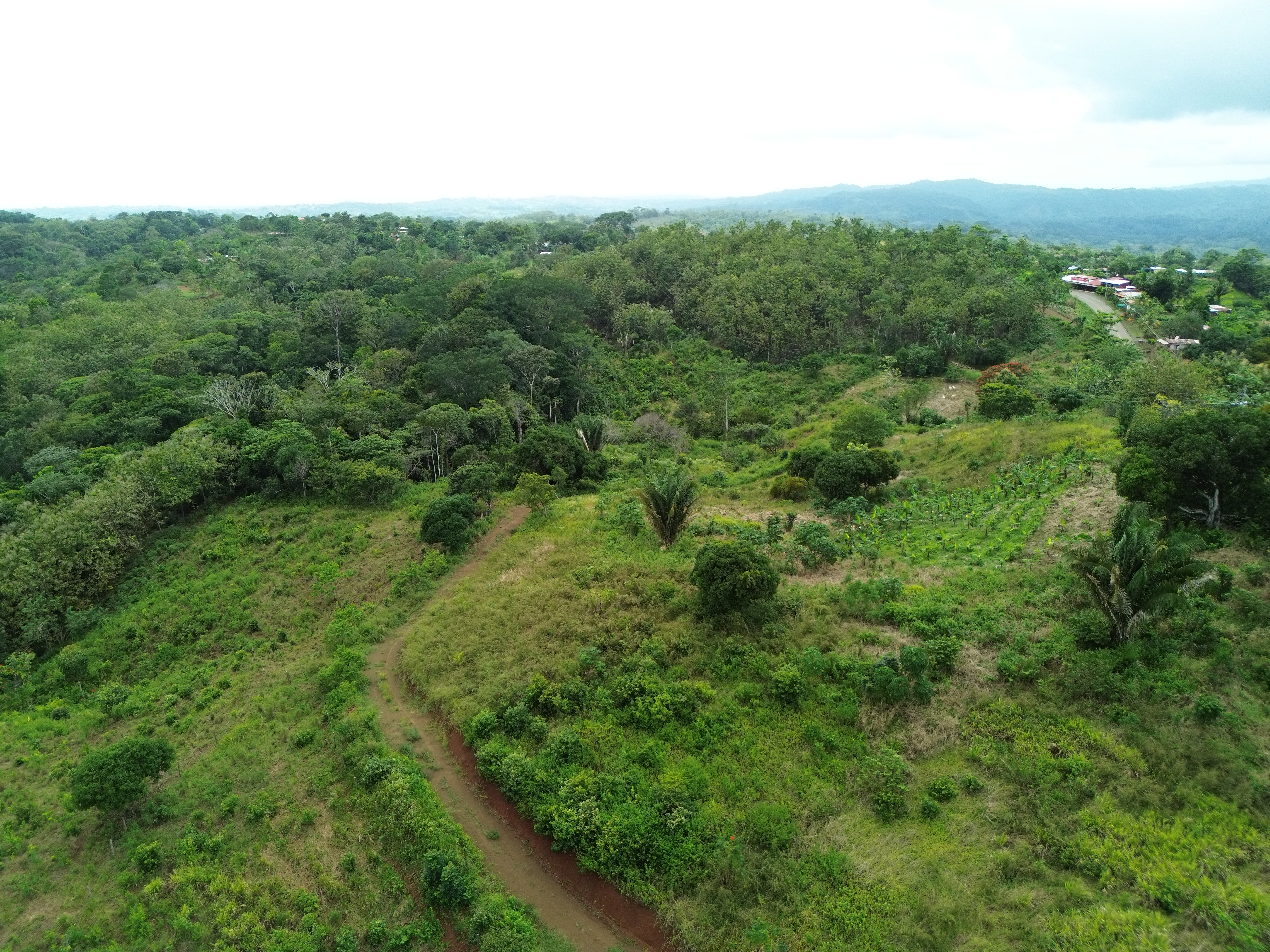 0 bed Land For Sale in Parrita, Puntarenas - thumb 6