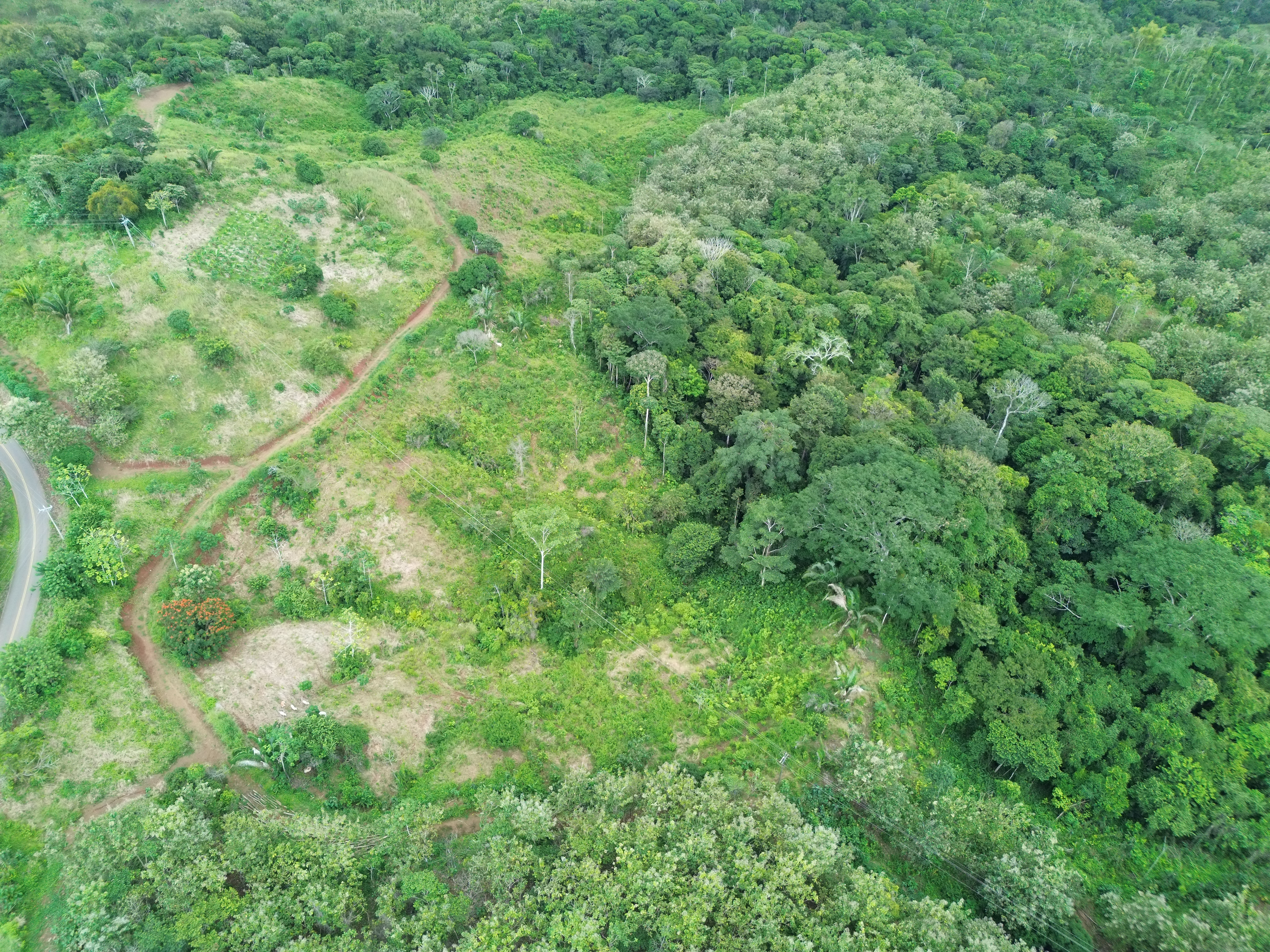 0 bed Land For Sale in Parrita, Puntarenas - thumb 9