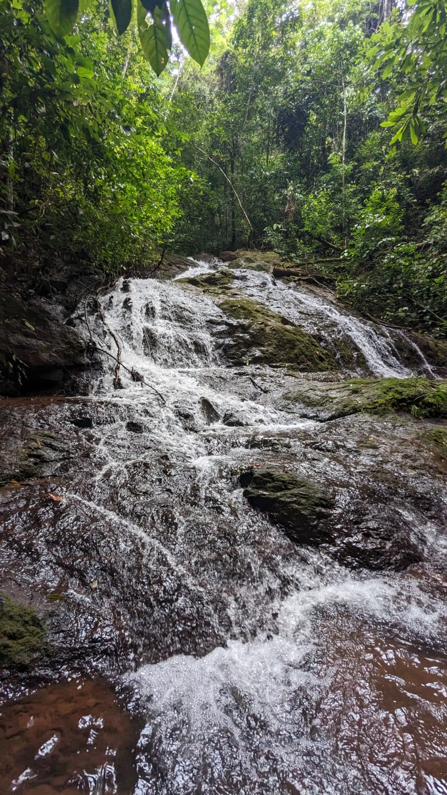 0 bed Land For Sale in Parrita, Puntarenas - thumb 16