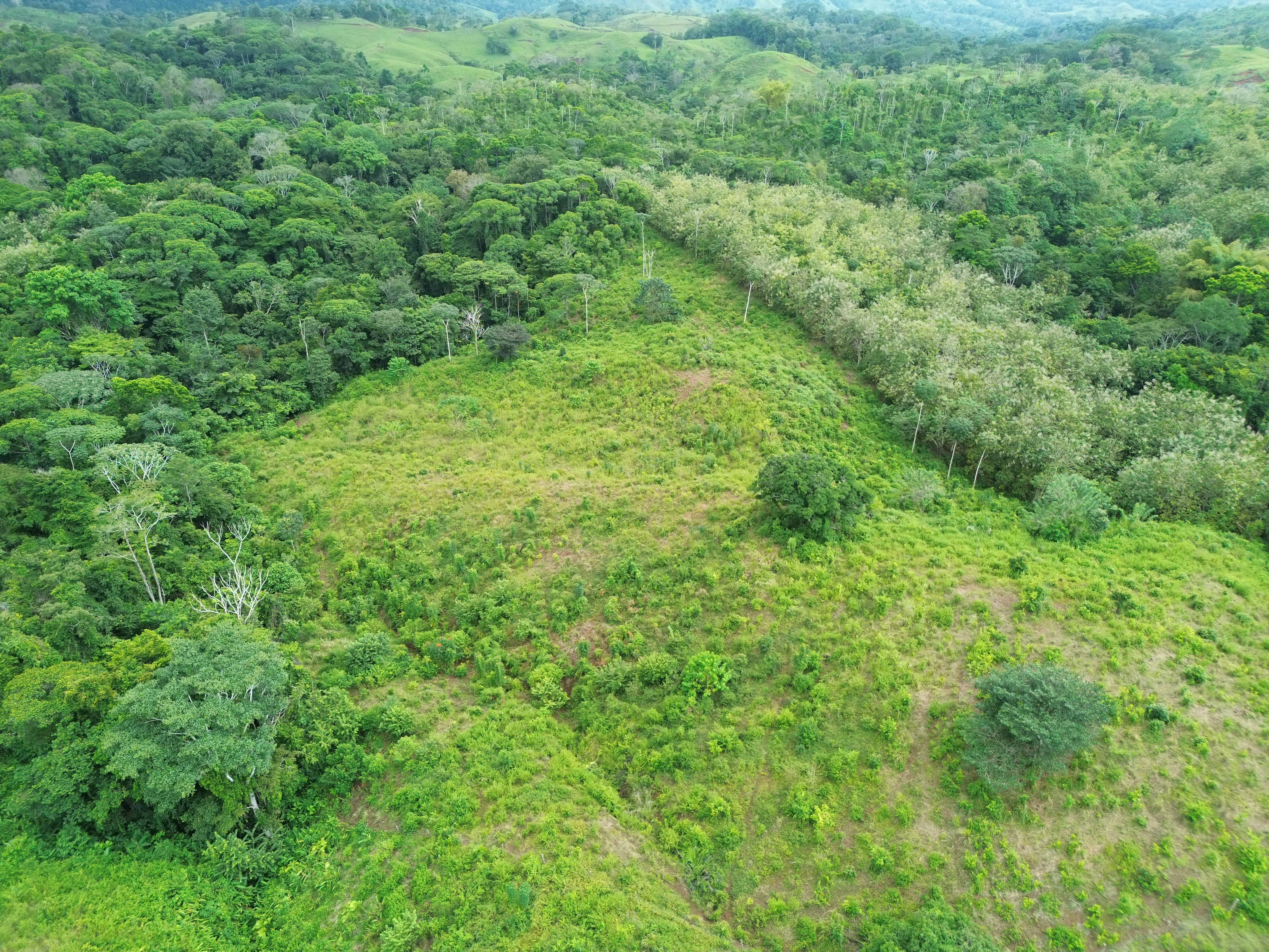 0 bed Land For Sale in Parrita, Puntarenas - thumb 5