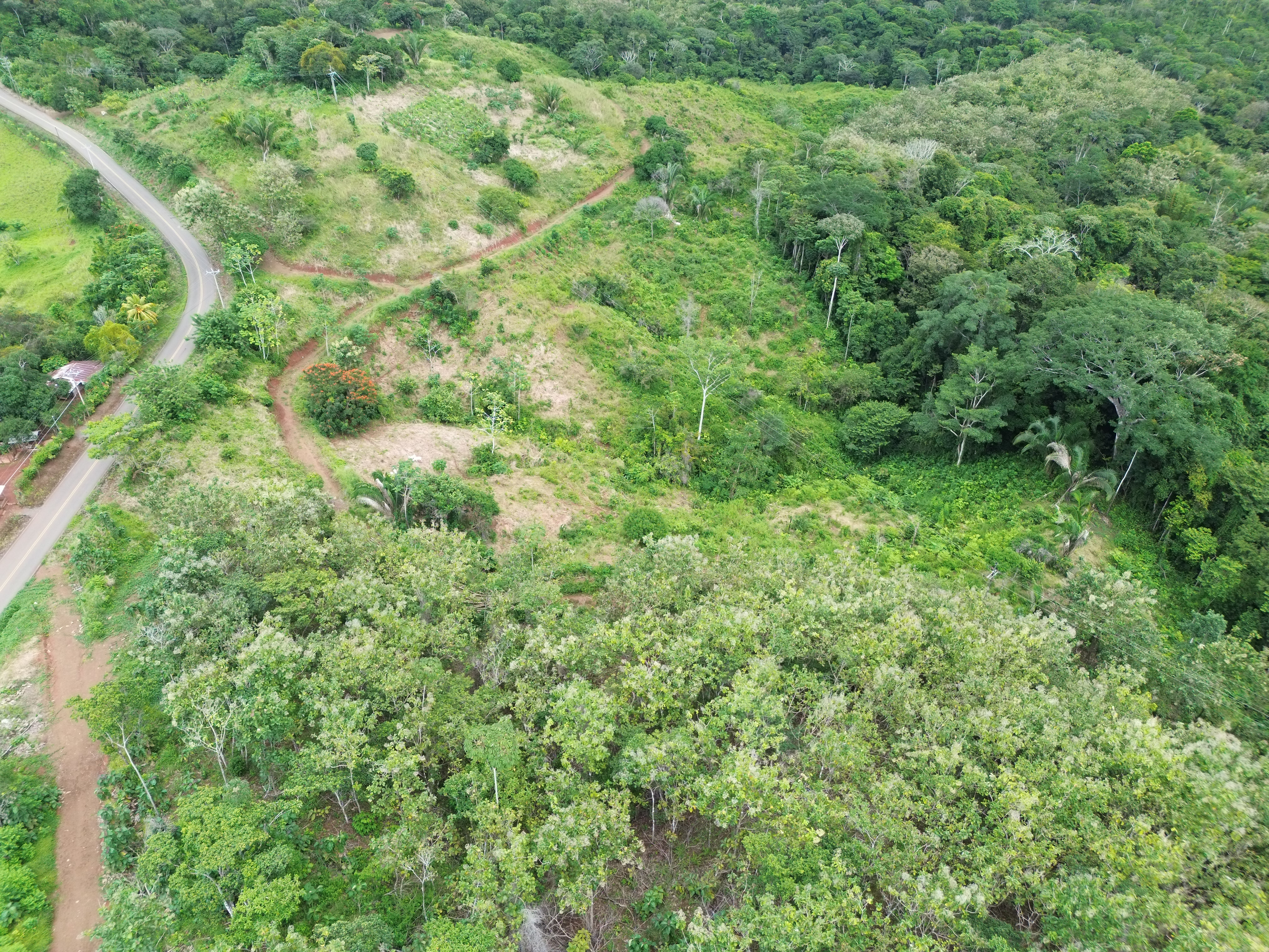 0 bed Land For Sale in Parrita, Puntarenas - thumb 2