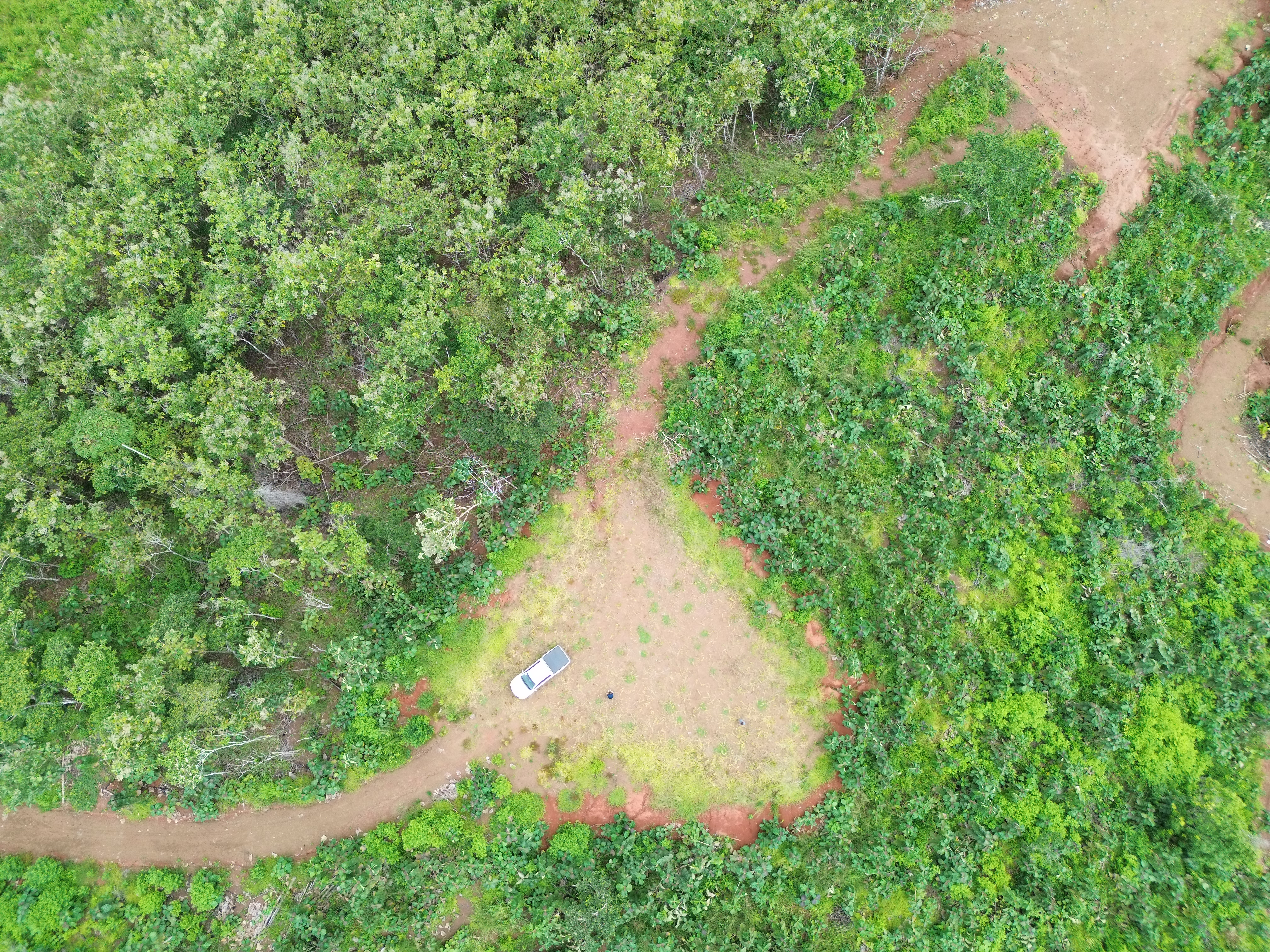 0 bed Land For Sale in Parrita, Puntarenas - thumb 1