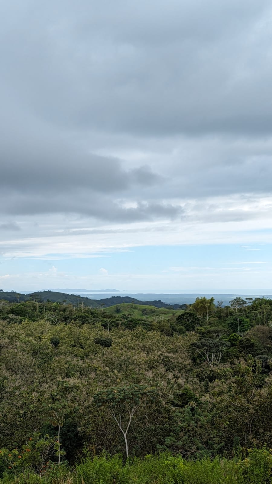 0 bed Land For Sale in Parrita, Puntarenas - thumb 13