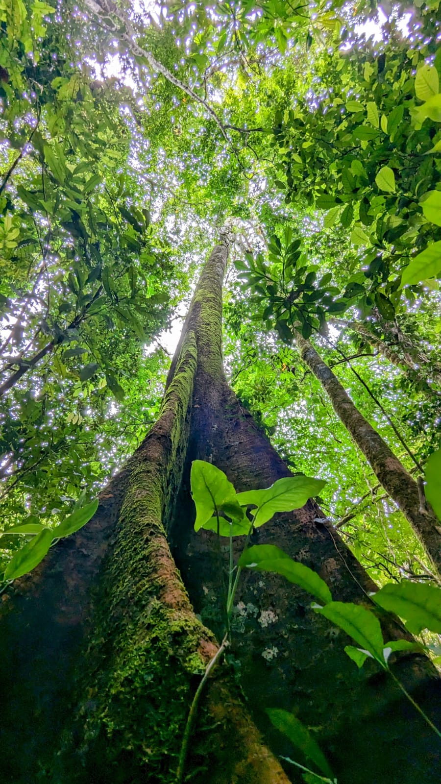 0 bed Land For Sale in Parrita, Puntarenas - thumb 18