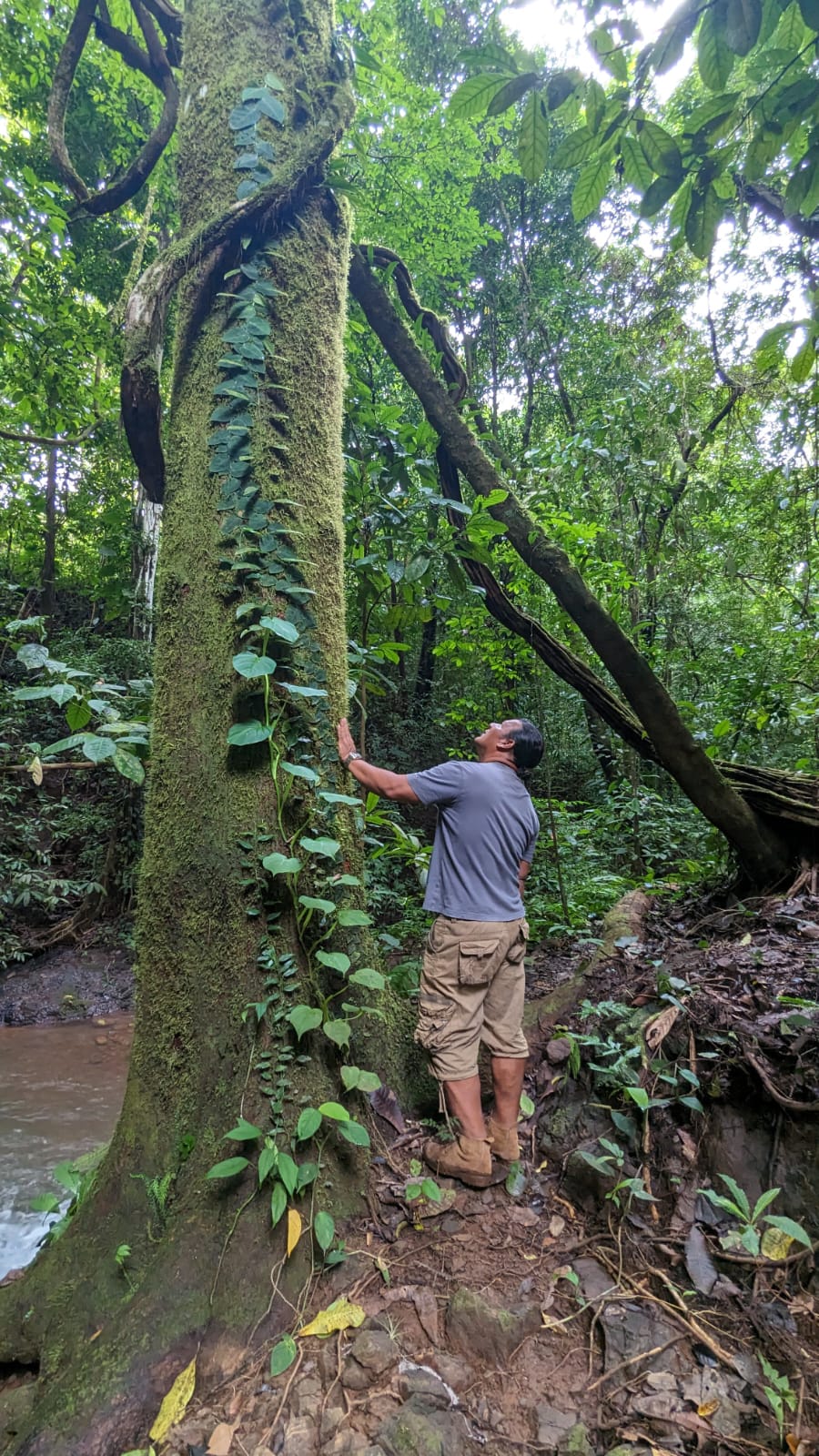 0 bed Land For Sale in Parrita, Puntarenas - thumb 14