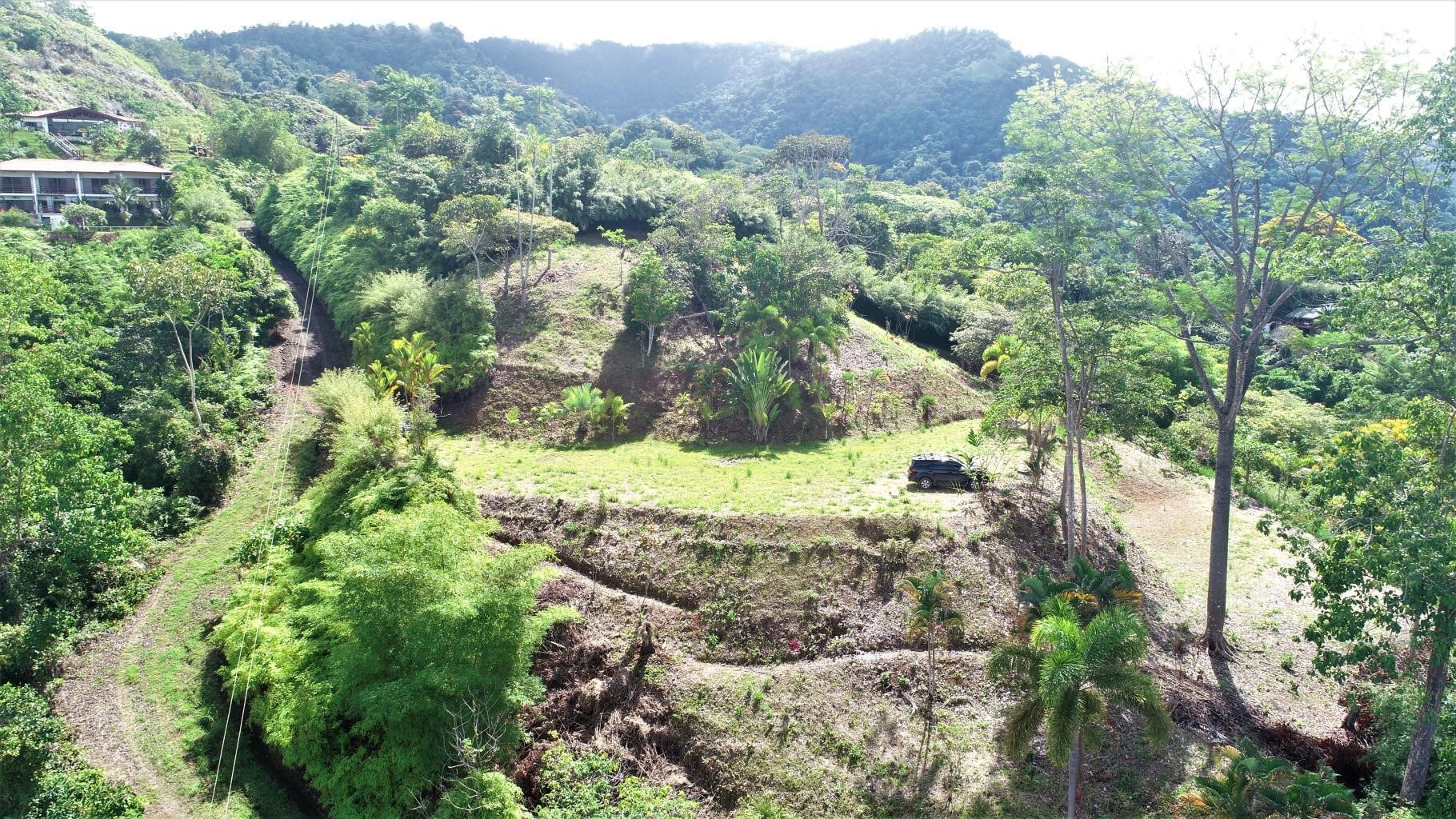 0 bed Land For Sale in Ojochal, Puntarenas - thumb 7
